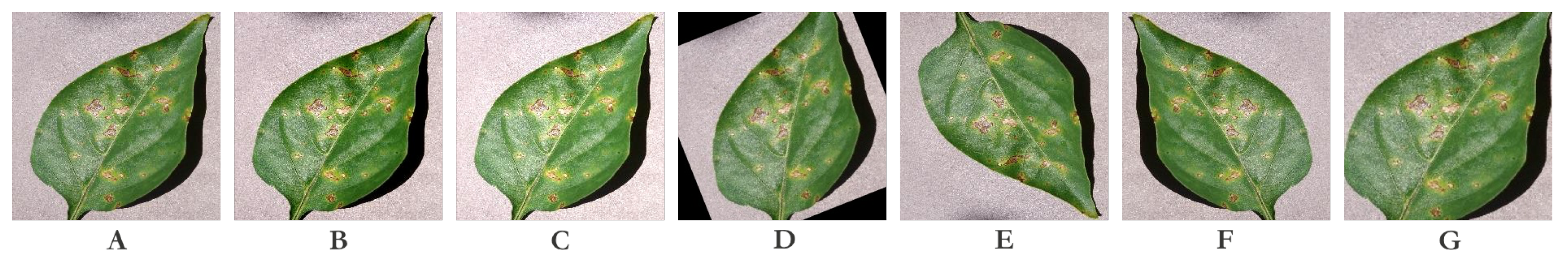 Agriculture 13 02025 g004