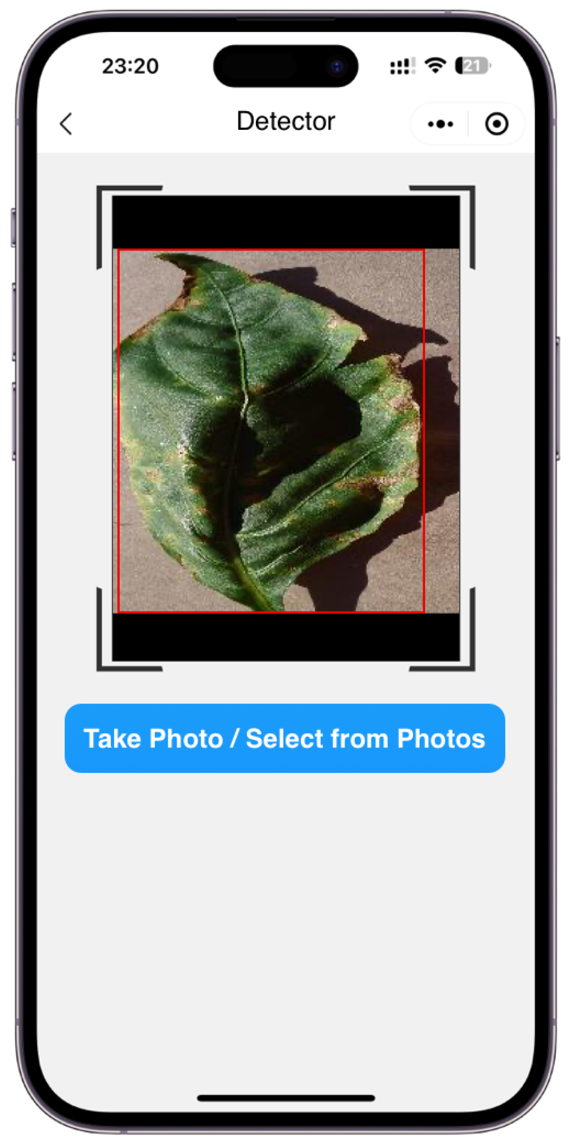 Agriculture 13 02025 g009