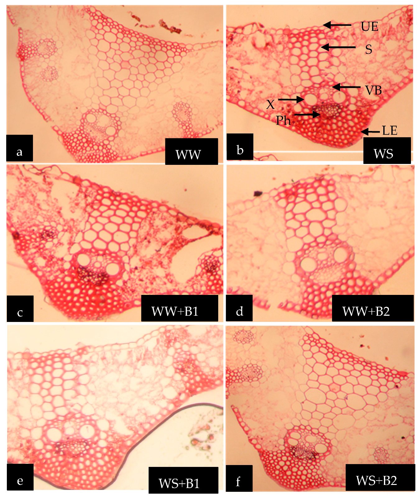 Agriculture 13 02042 g005