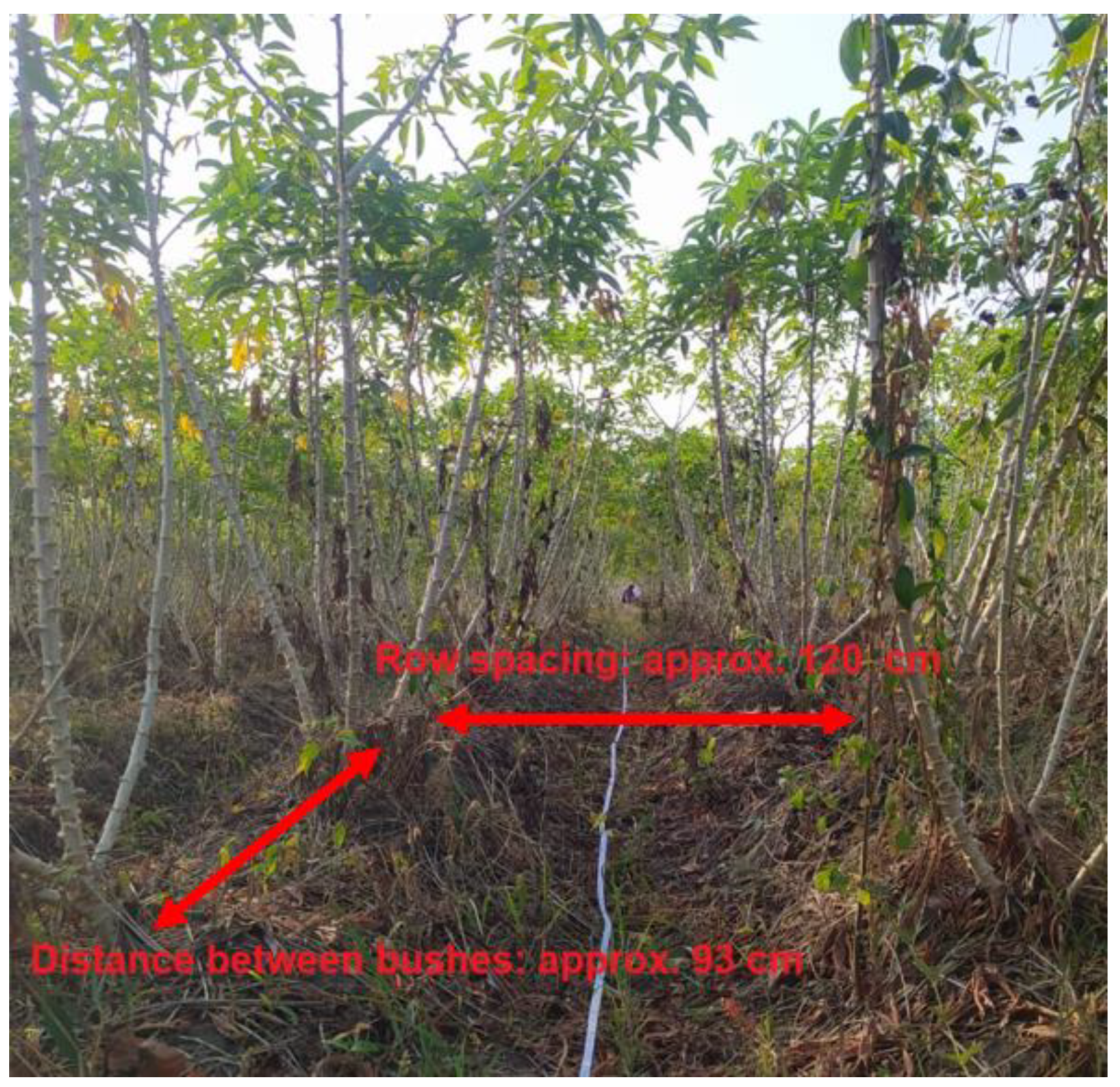 Agriculture 13 02046 g002