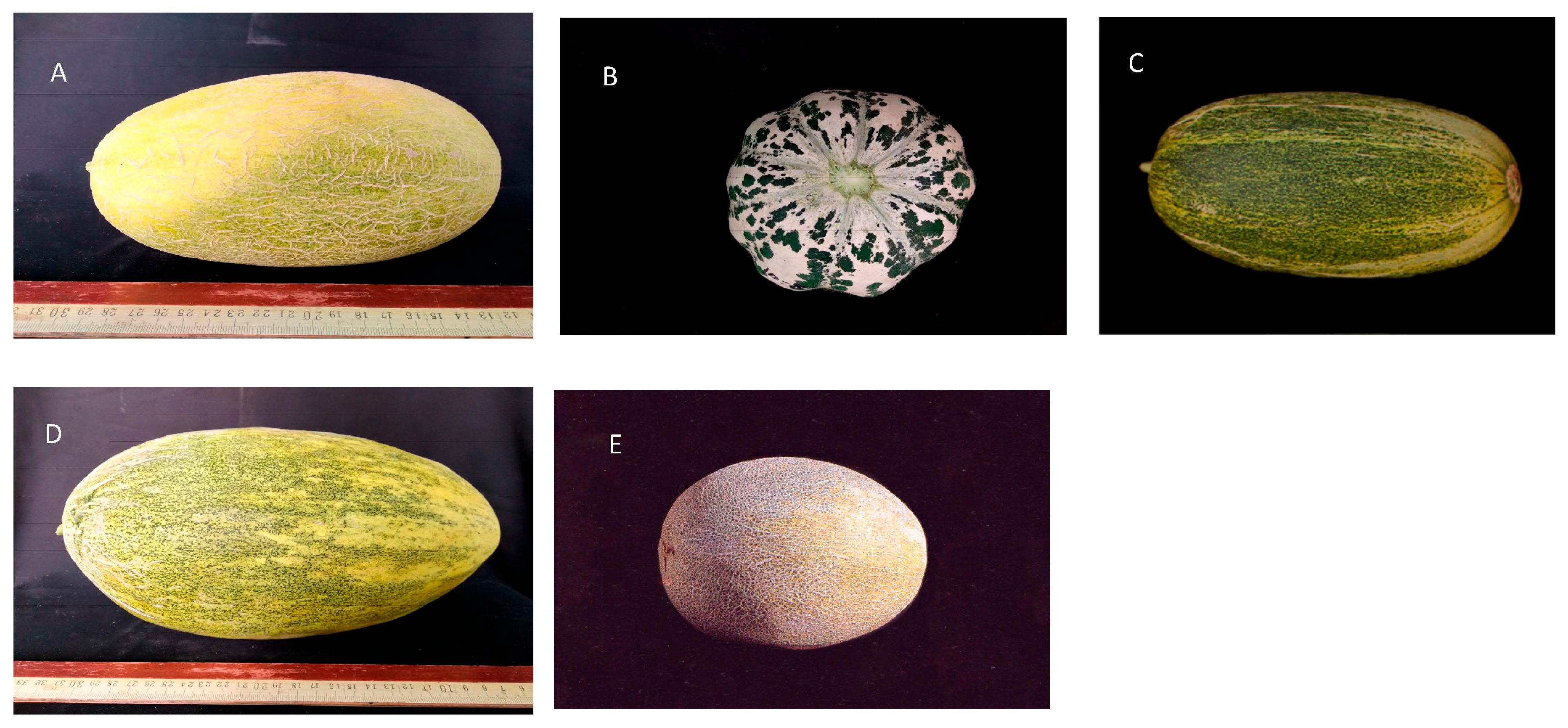 Agriculture 13 02051 g001