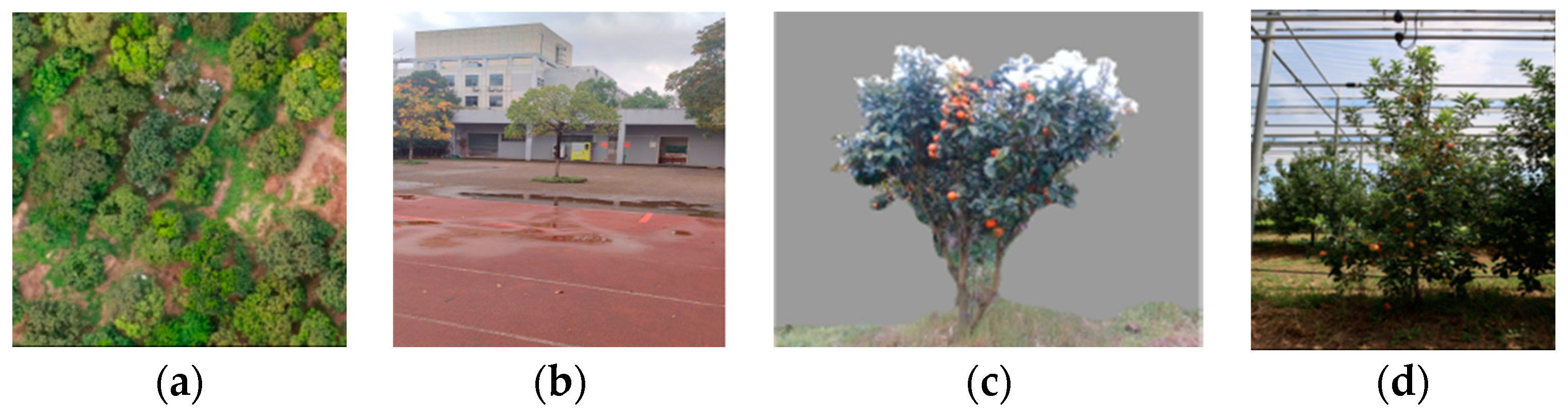 Agriculture 13 02097 g001