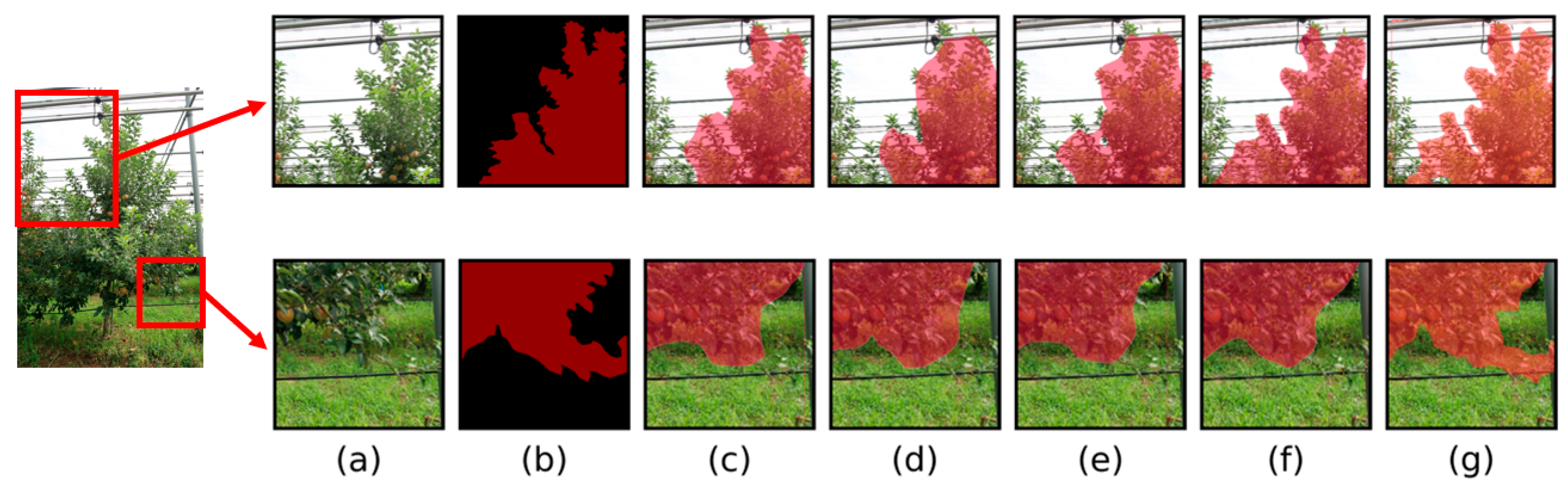 Agriculture 13 02097 g013