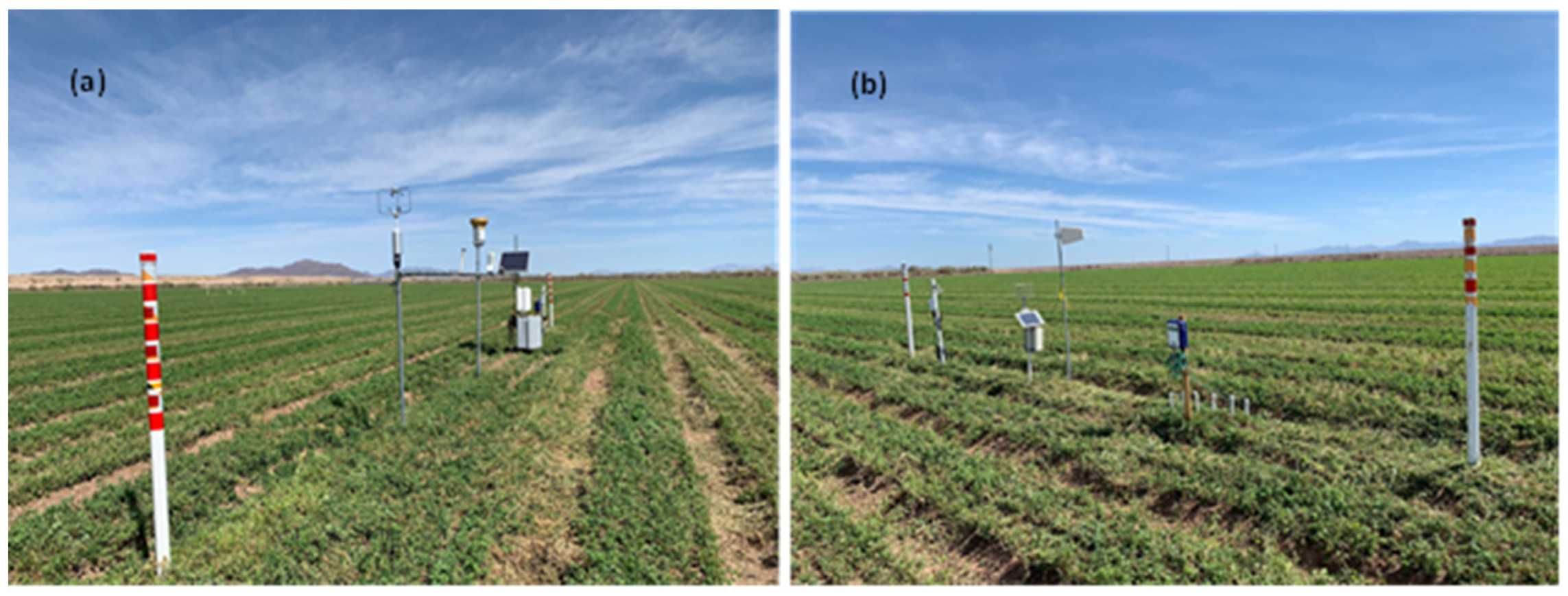 Agriculture 13 02098 g001