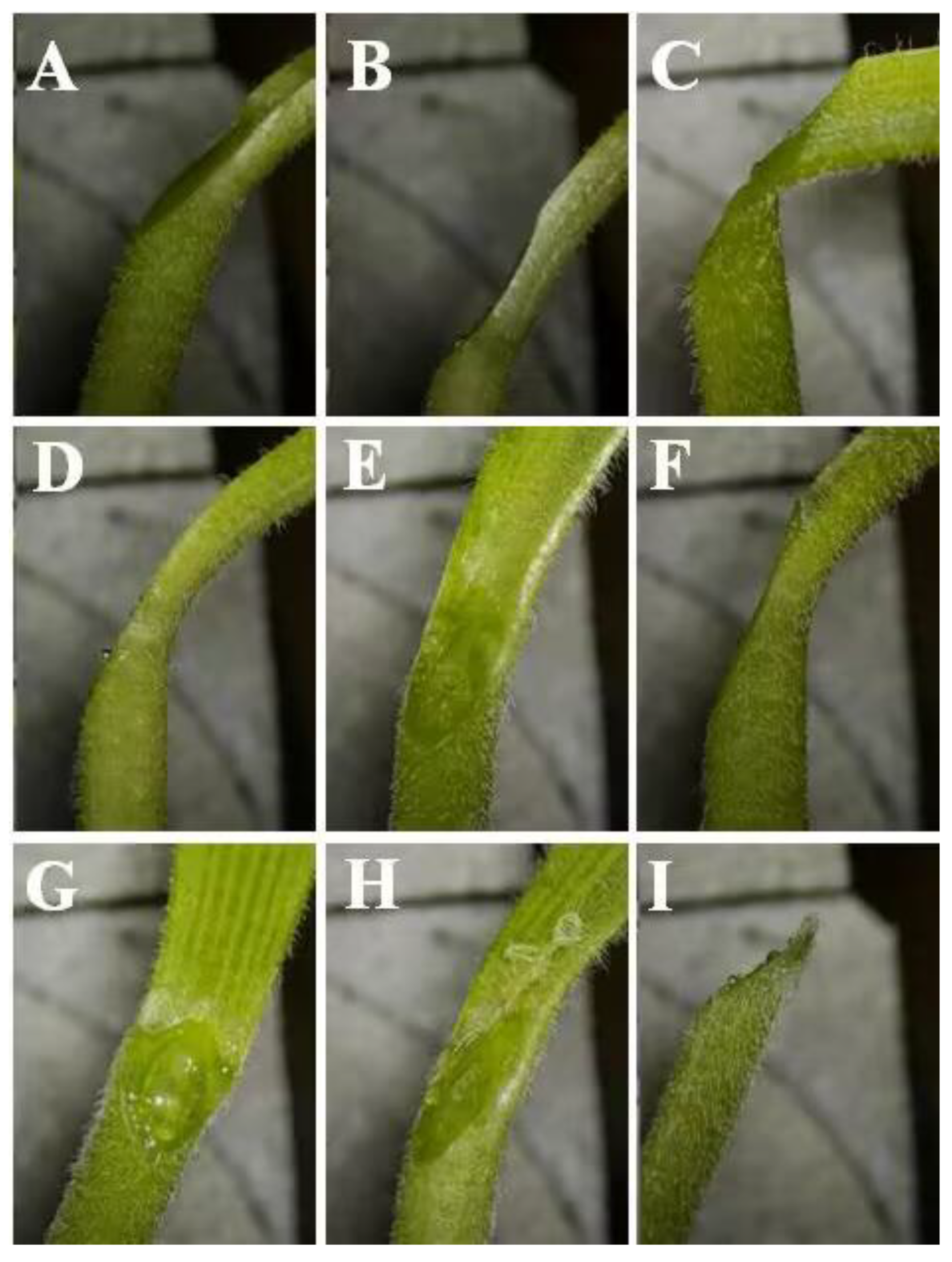 Agriculture 13 02139 g015