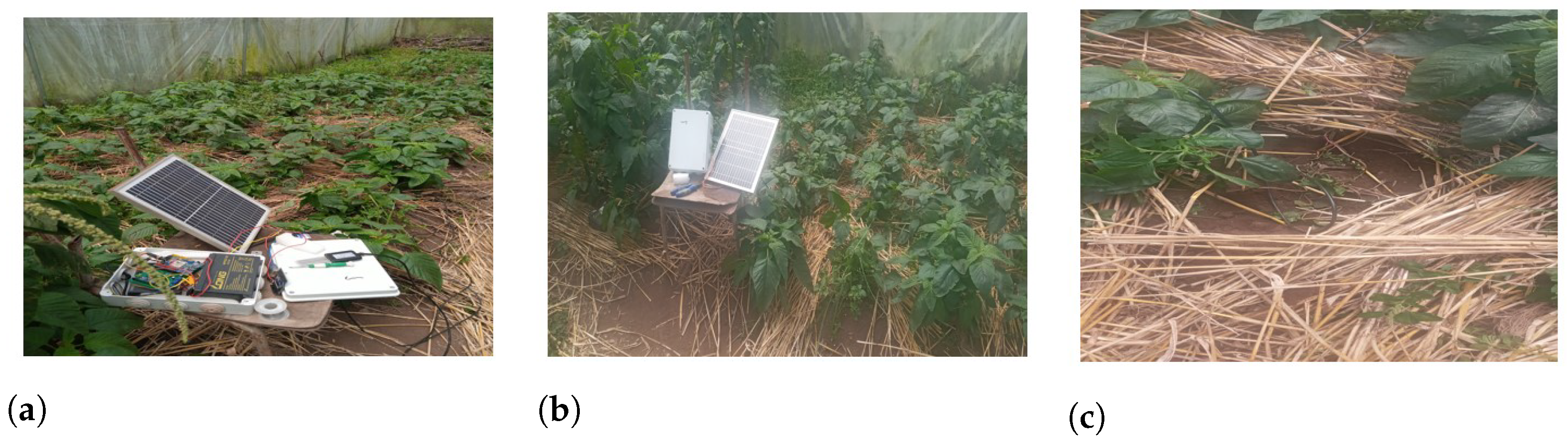 Agriculture 13 02141 g011