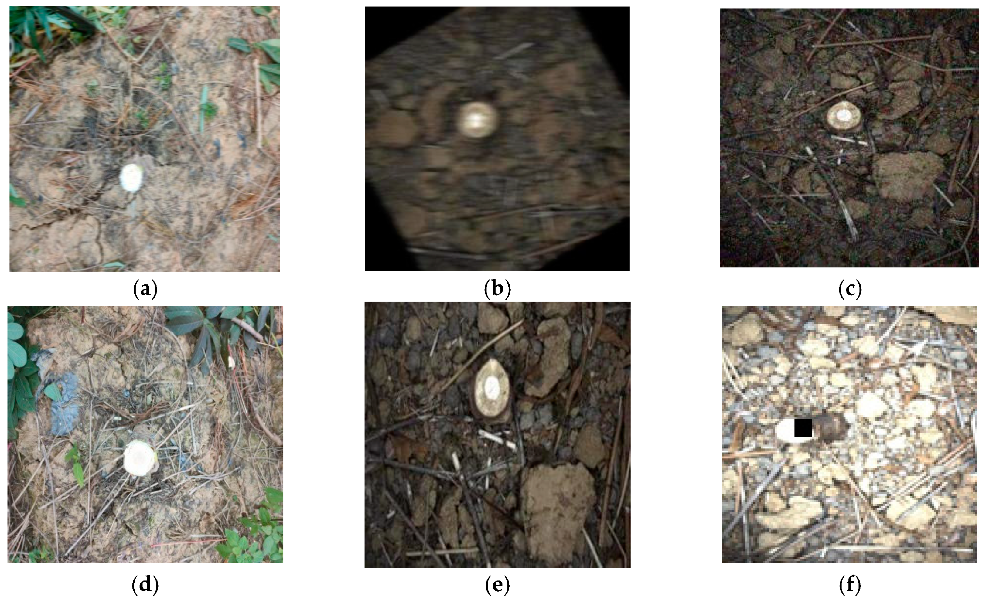 Agriculture 13 02144 g009