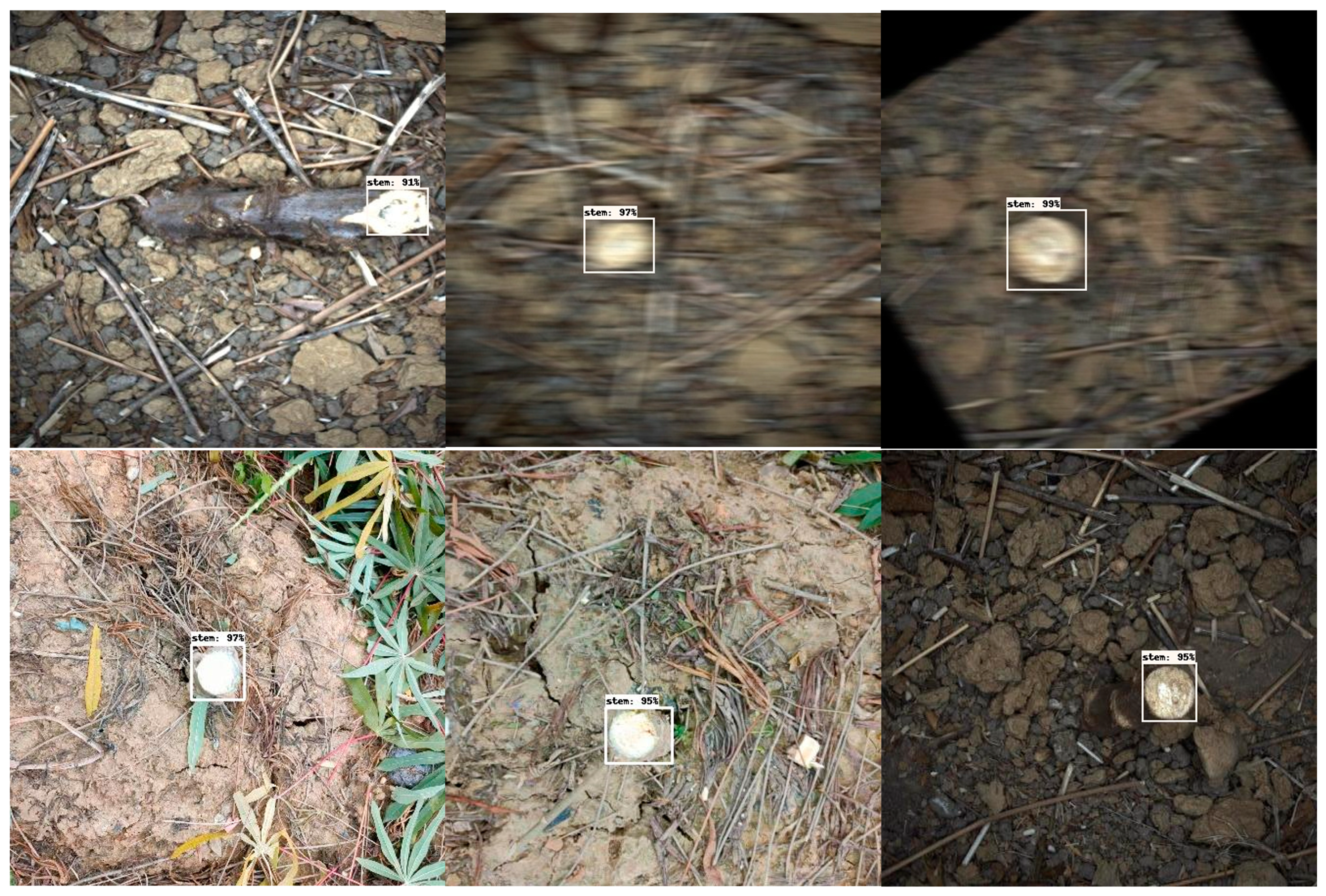 Agriculture 13 02144 g013