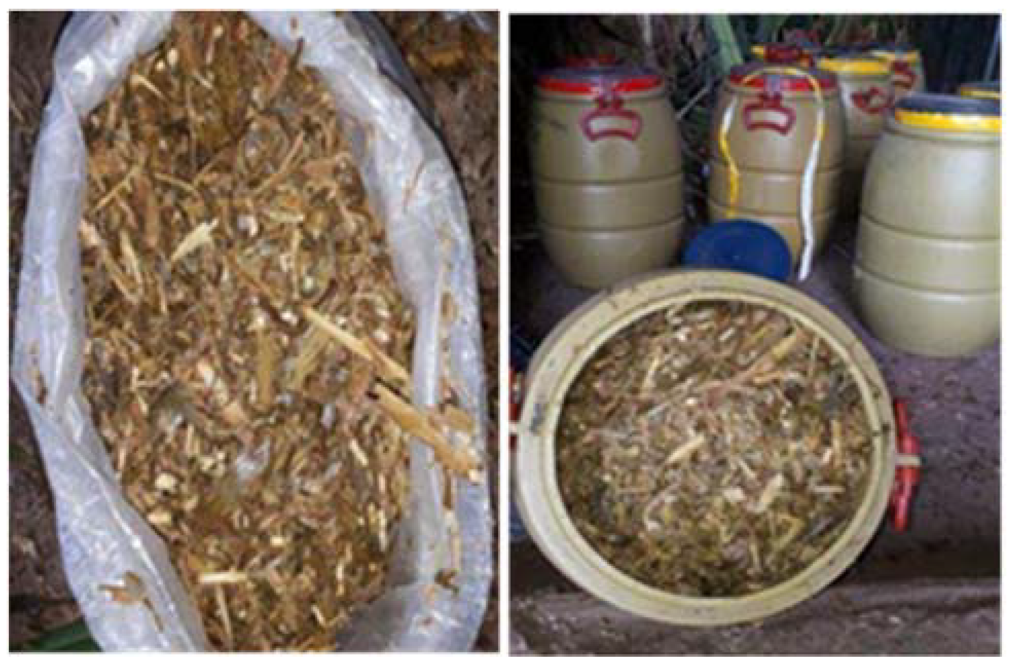 Agriculture 13 02152 g001