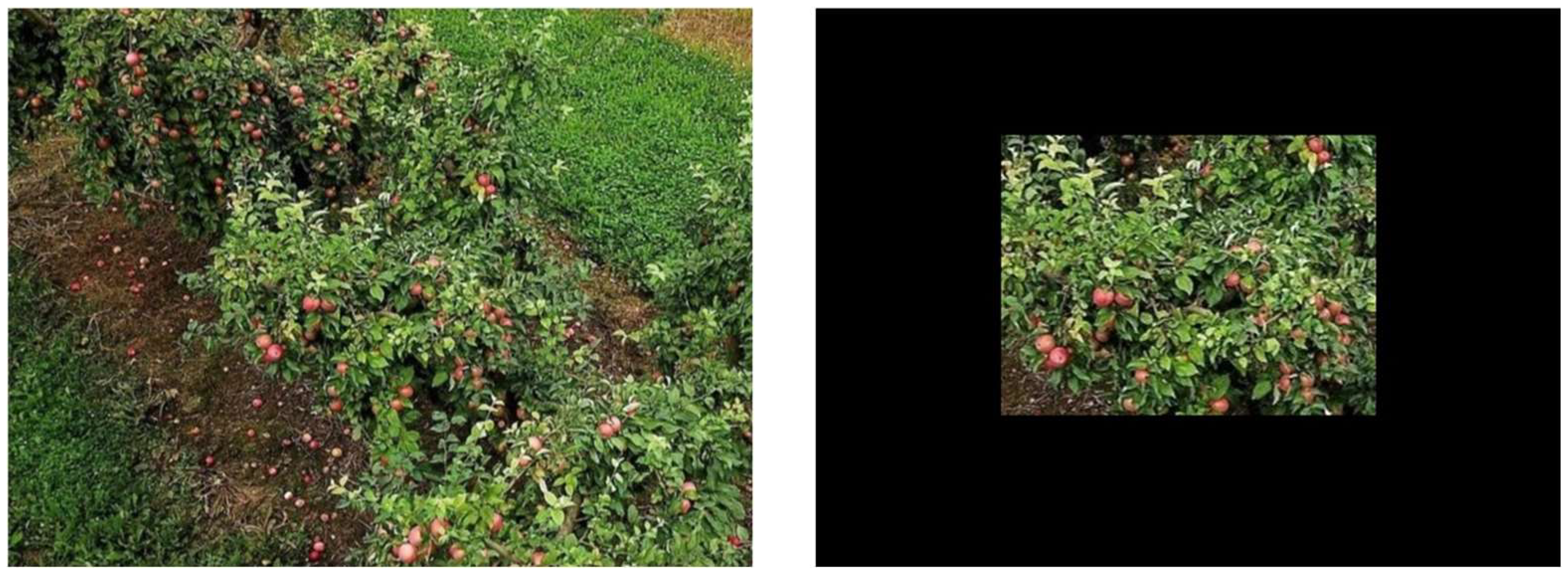 Agriculture 13 02167 g002