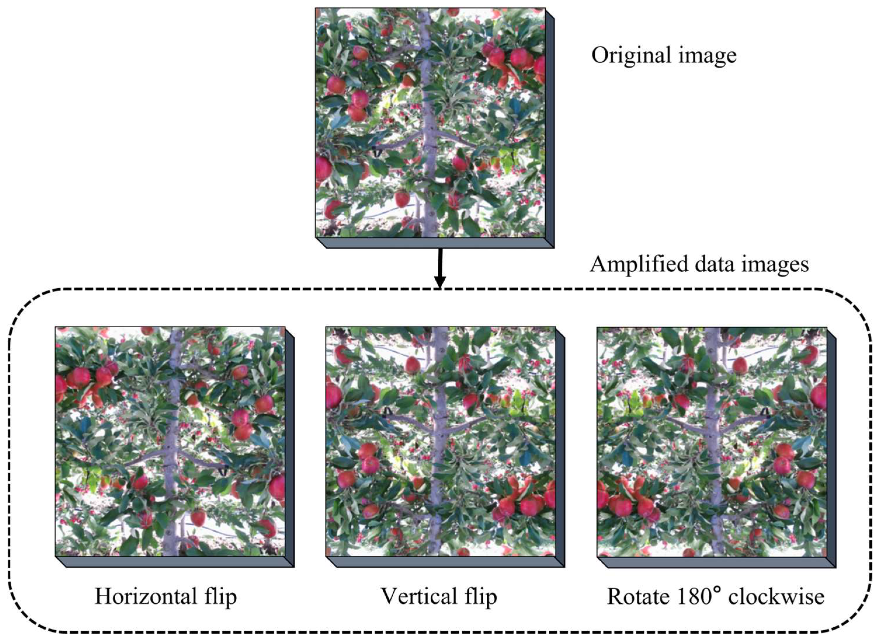 Agriculture 13 02167 g003