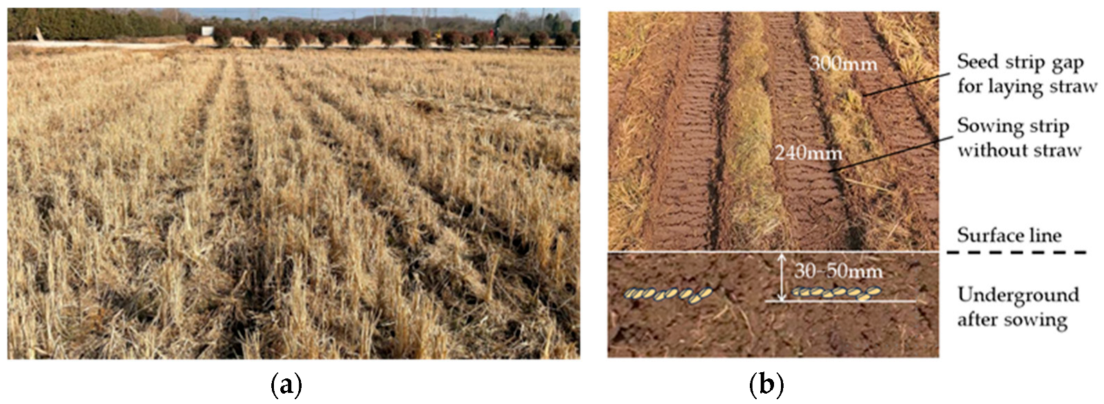 Agriculture 13 02173 g001