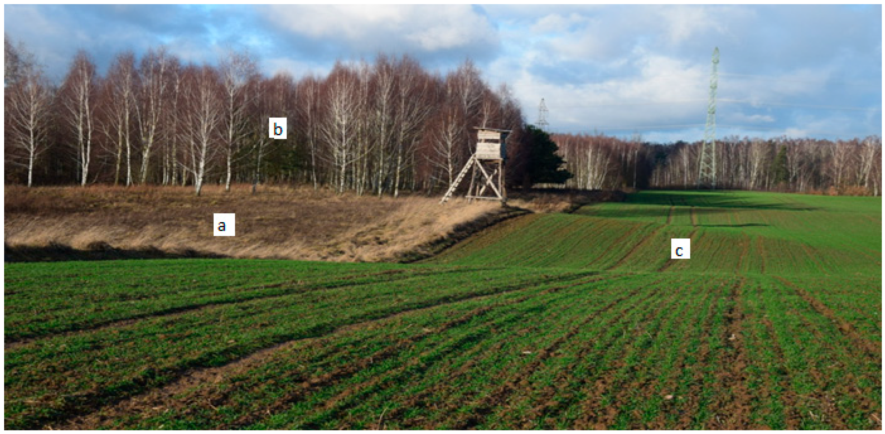 Agriculture 13 02174 g001 Agriculture 13 02174 g001