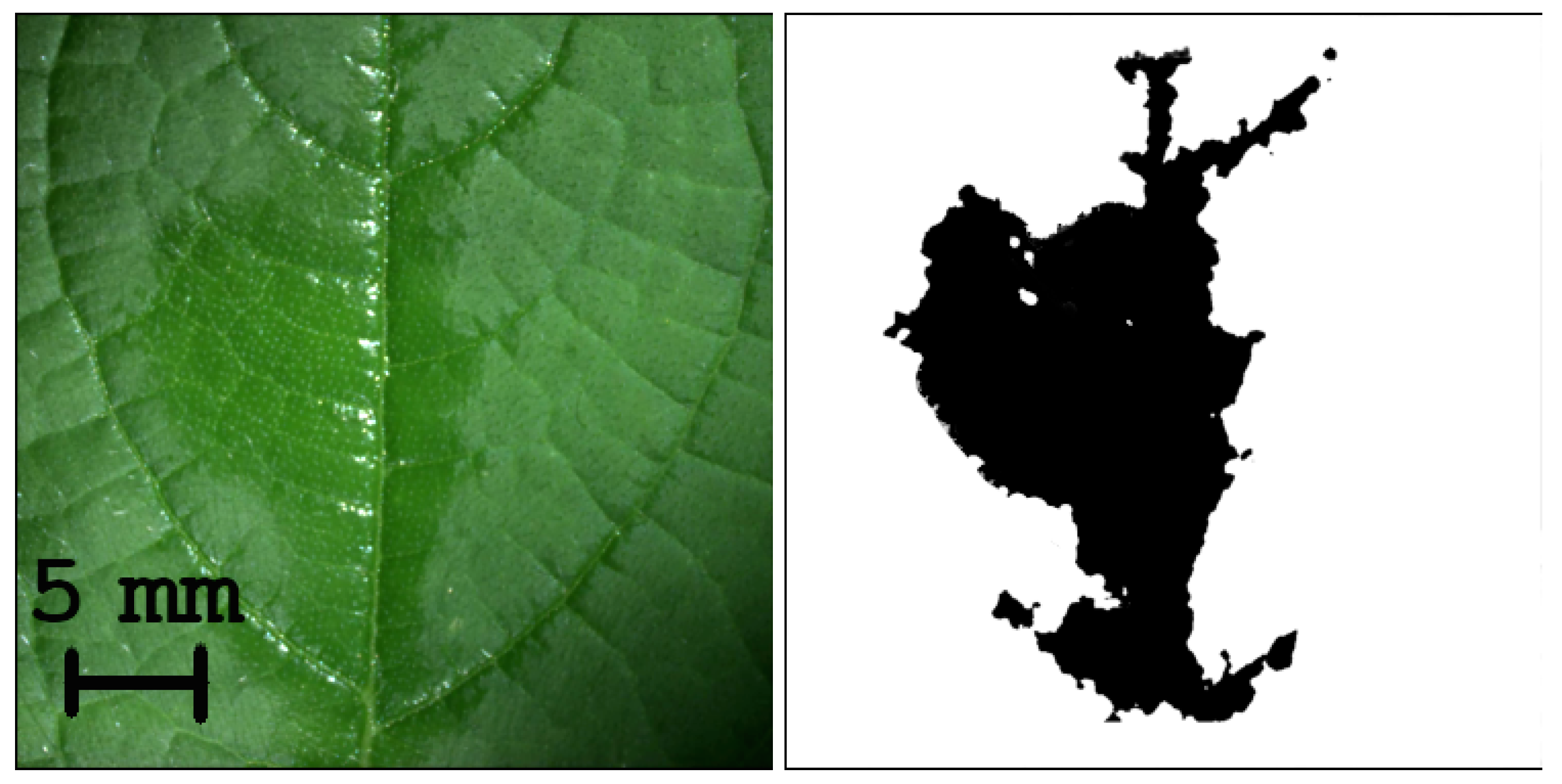 Agriculture 13 02182 g004