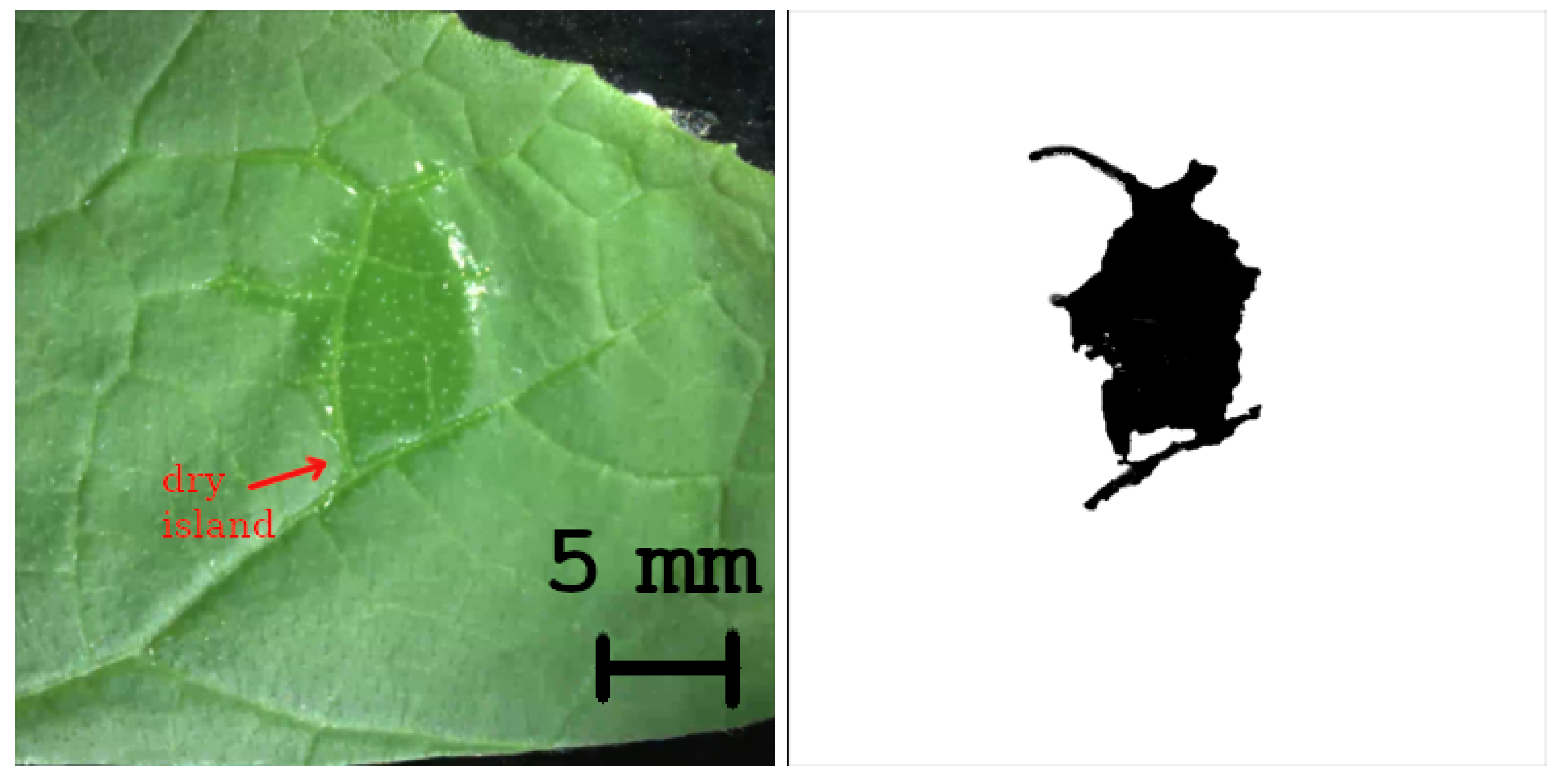 Agriculture 13 02182 g005