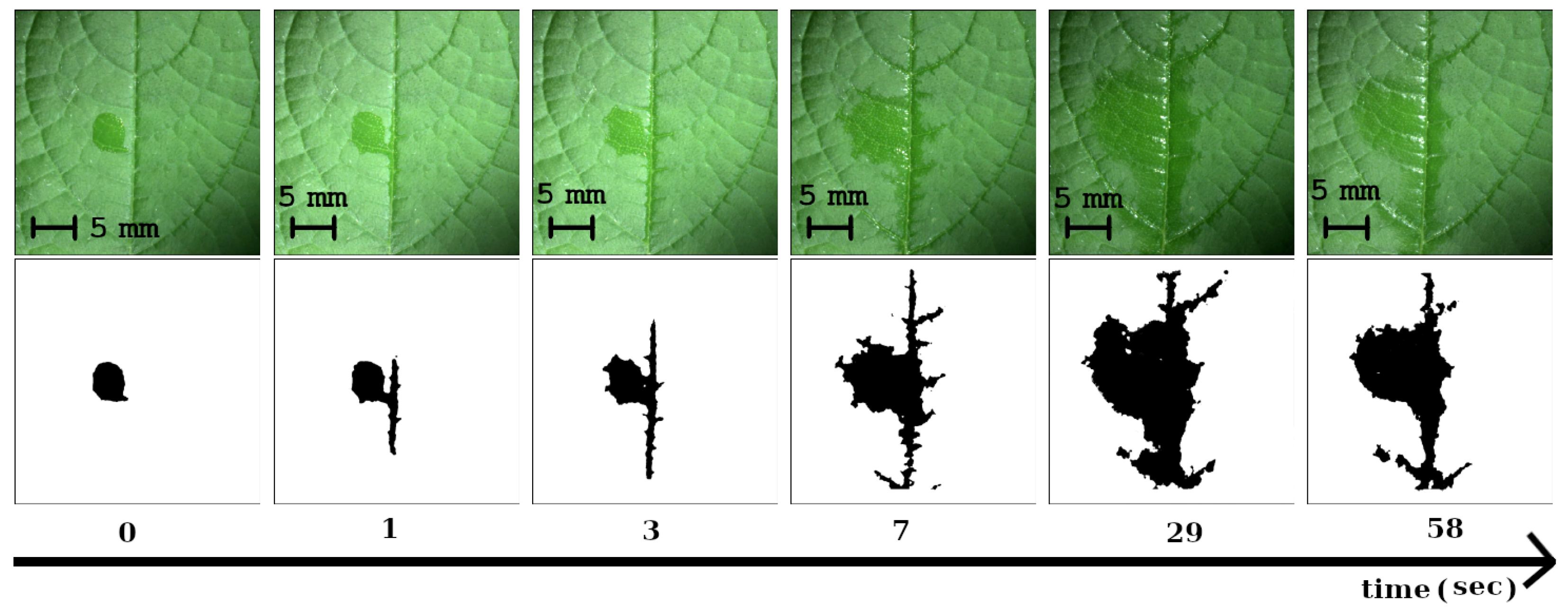 Agriculture 13 02182 g006