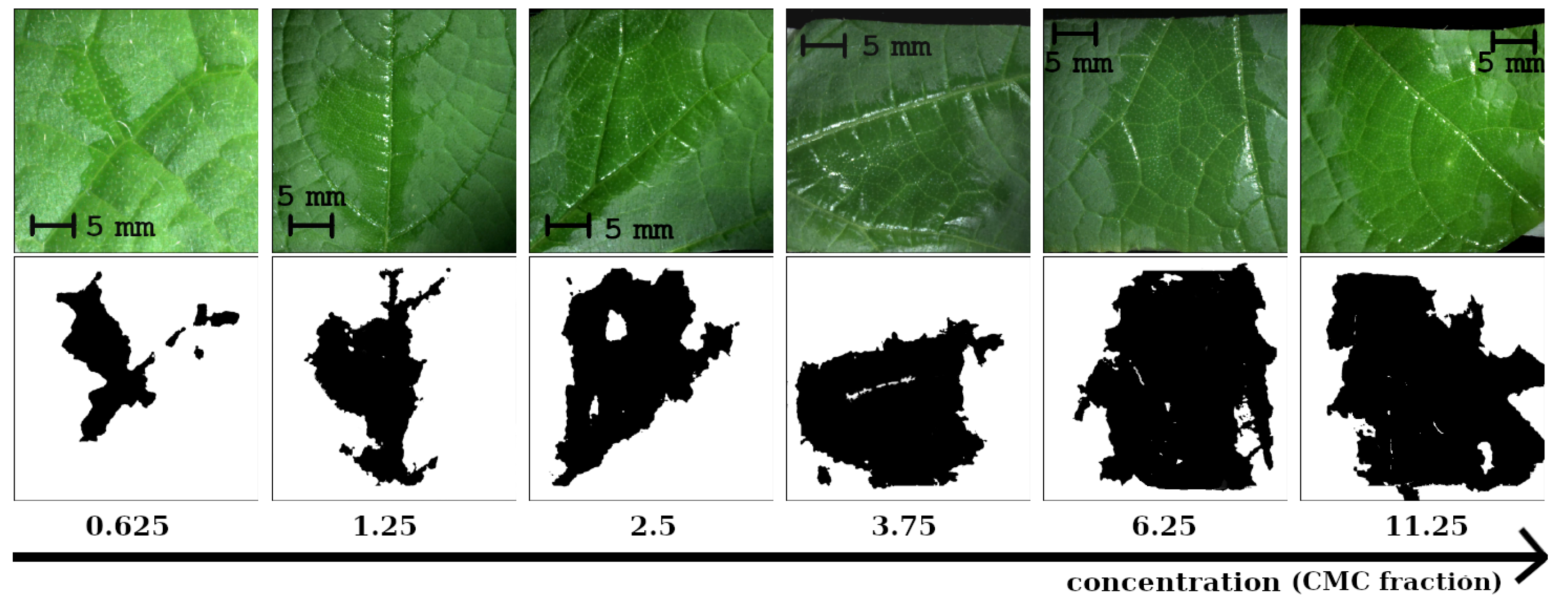 Agriculture 13 02182 g007
