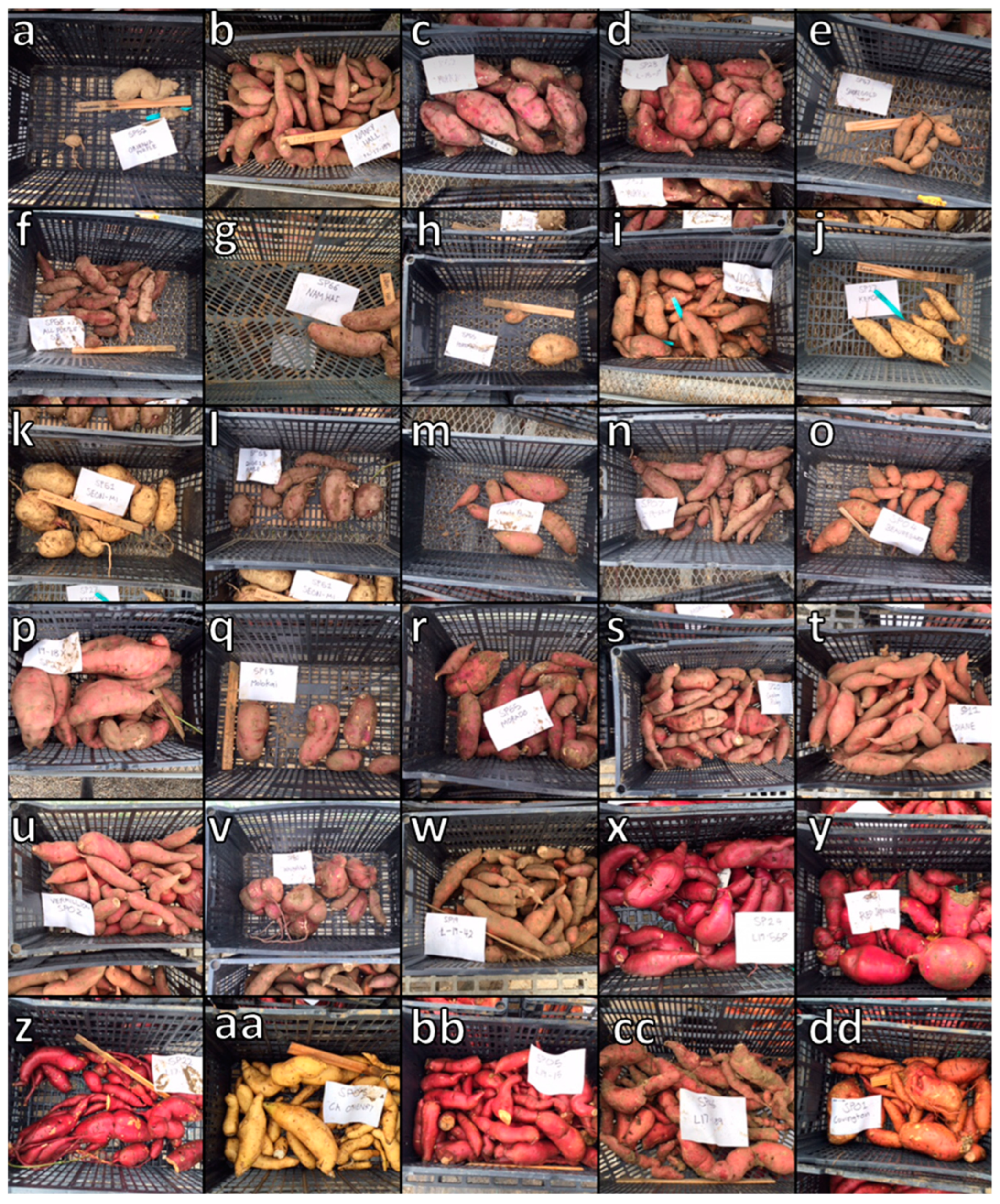 Agriculture 13 02191 g001