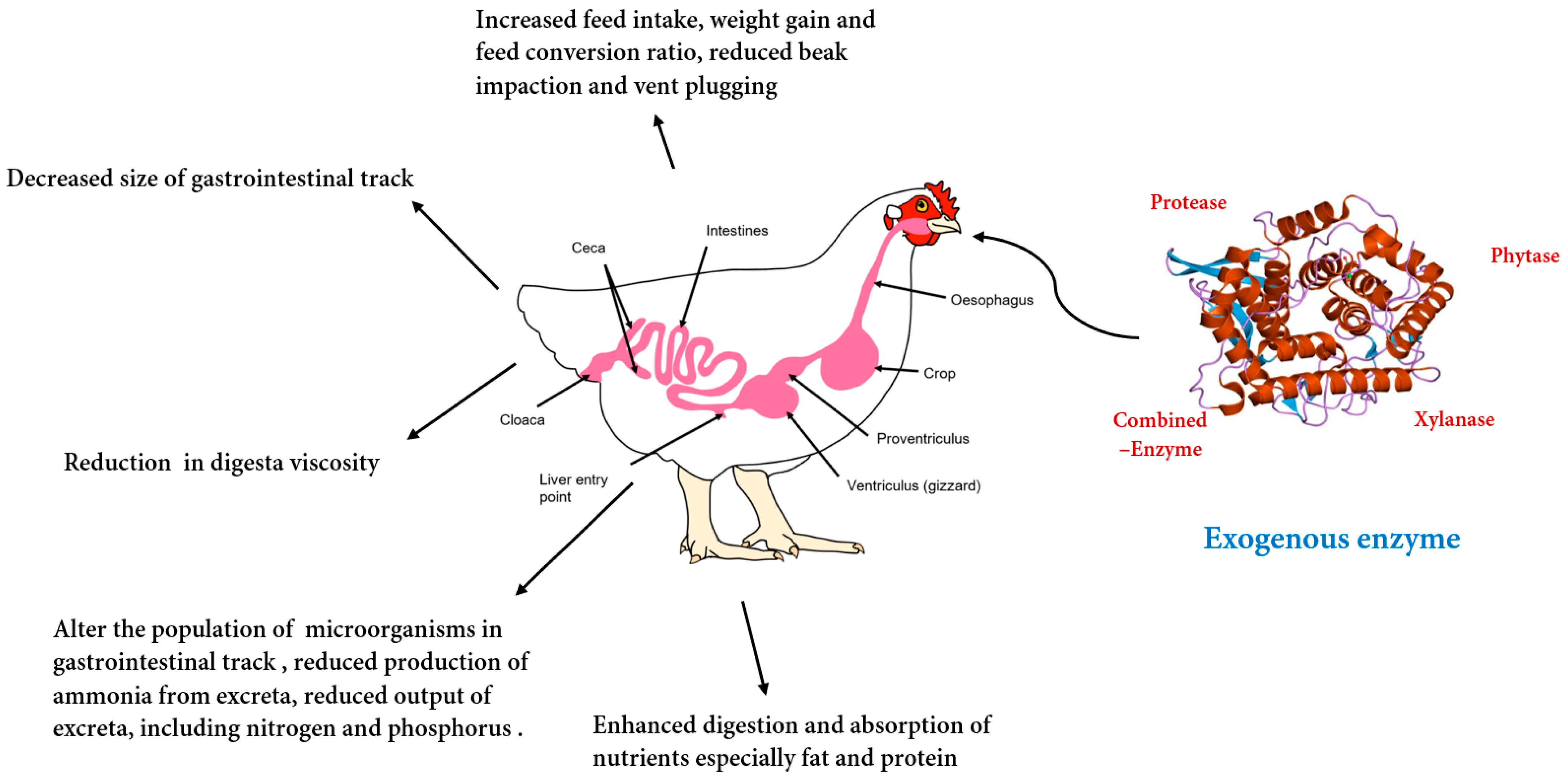 Agriculture 13 02195 g001