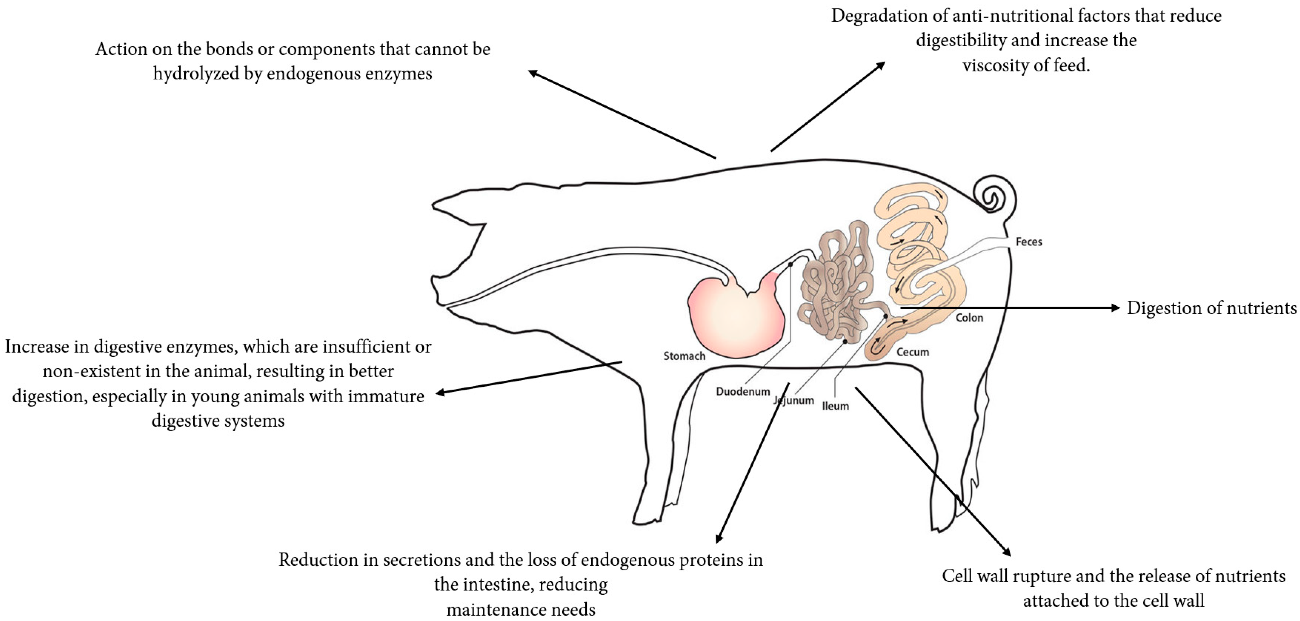 Agriculture 13 02195 g002