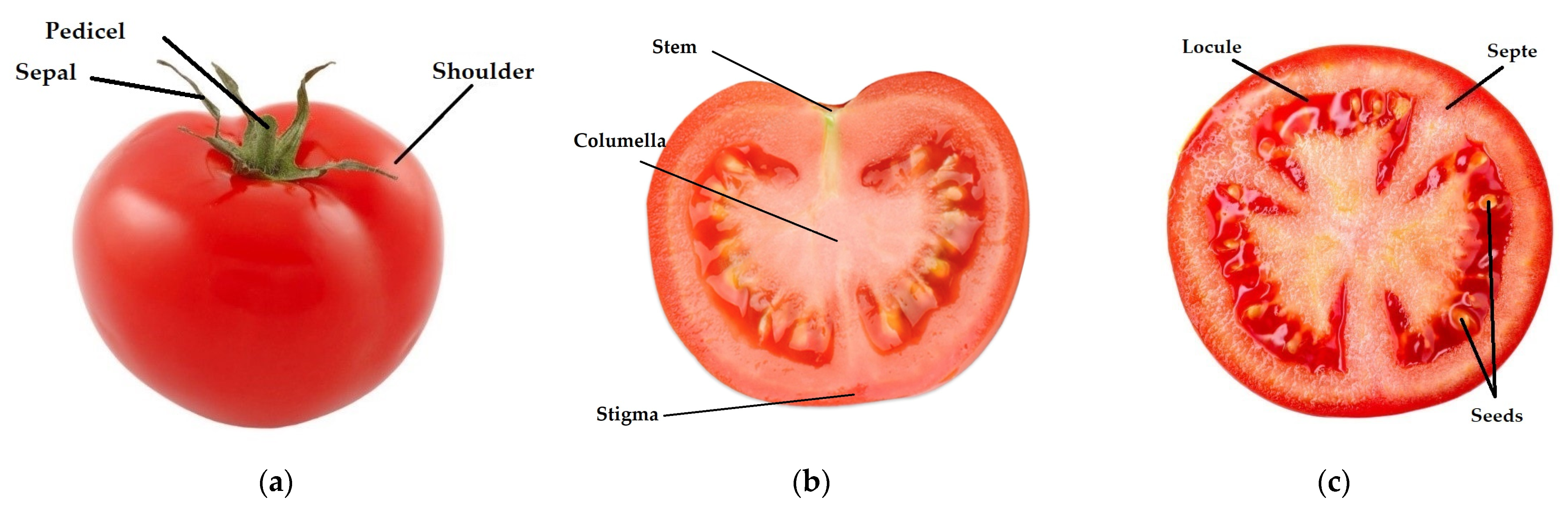 Agriculture 13 02201 g003