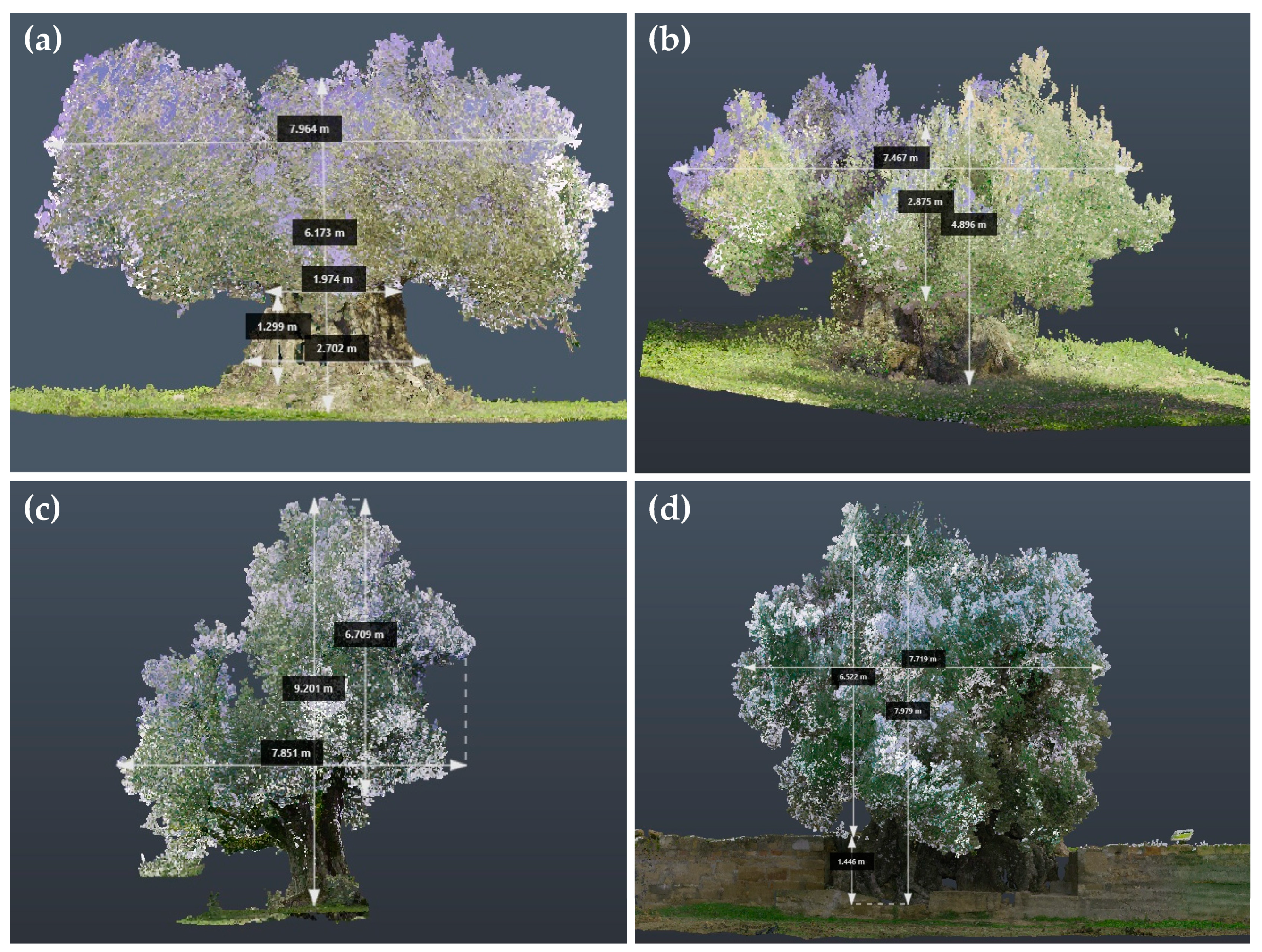 Agriculture 13 02204 g004