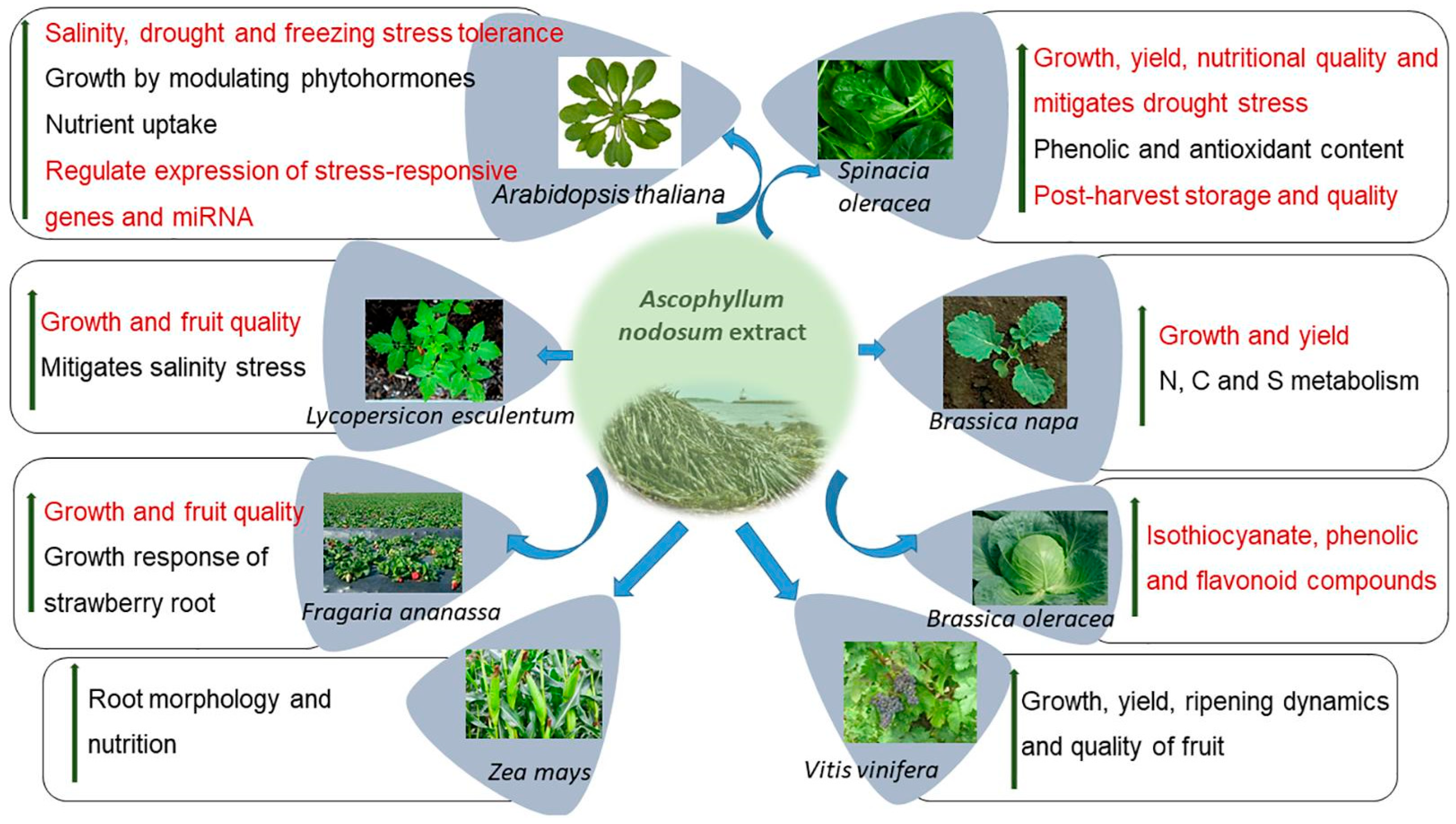 Agriculture 13 02223 g001