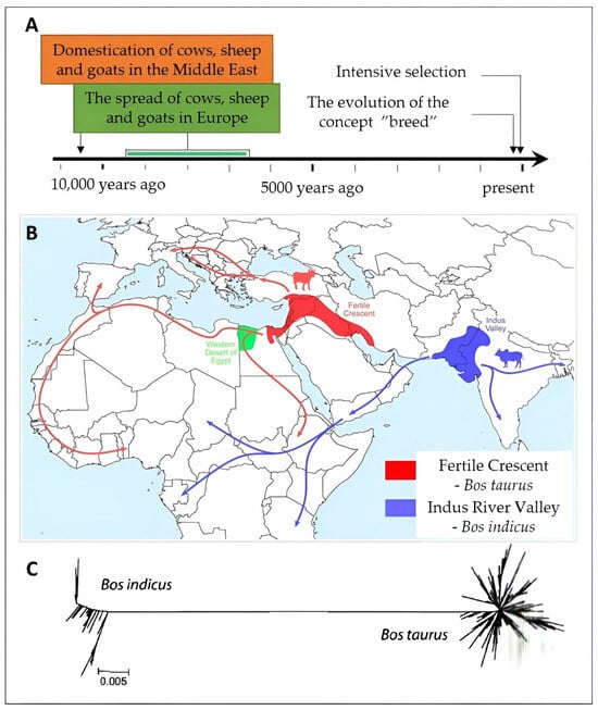 Agriculture 13 02255 g001