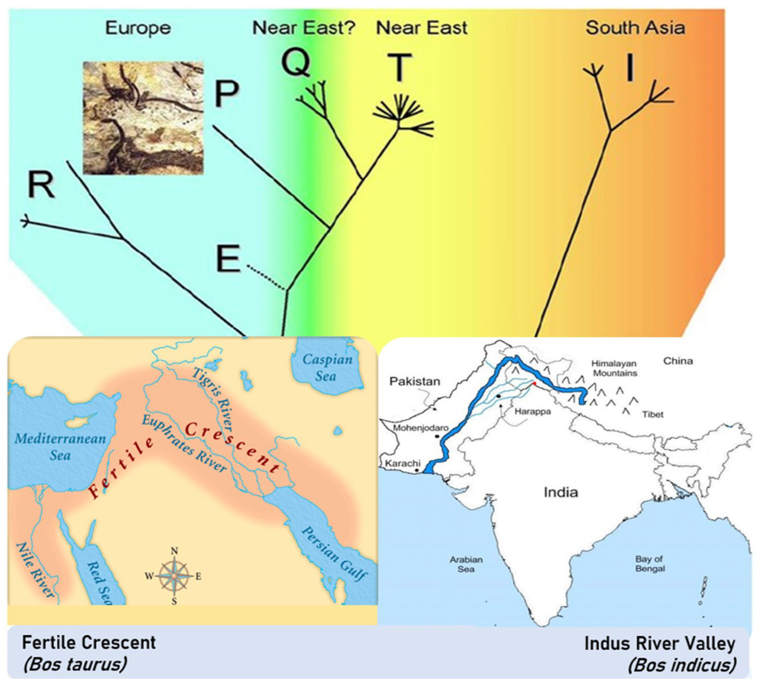 Agriculture 13 02255 g002