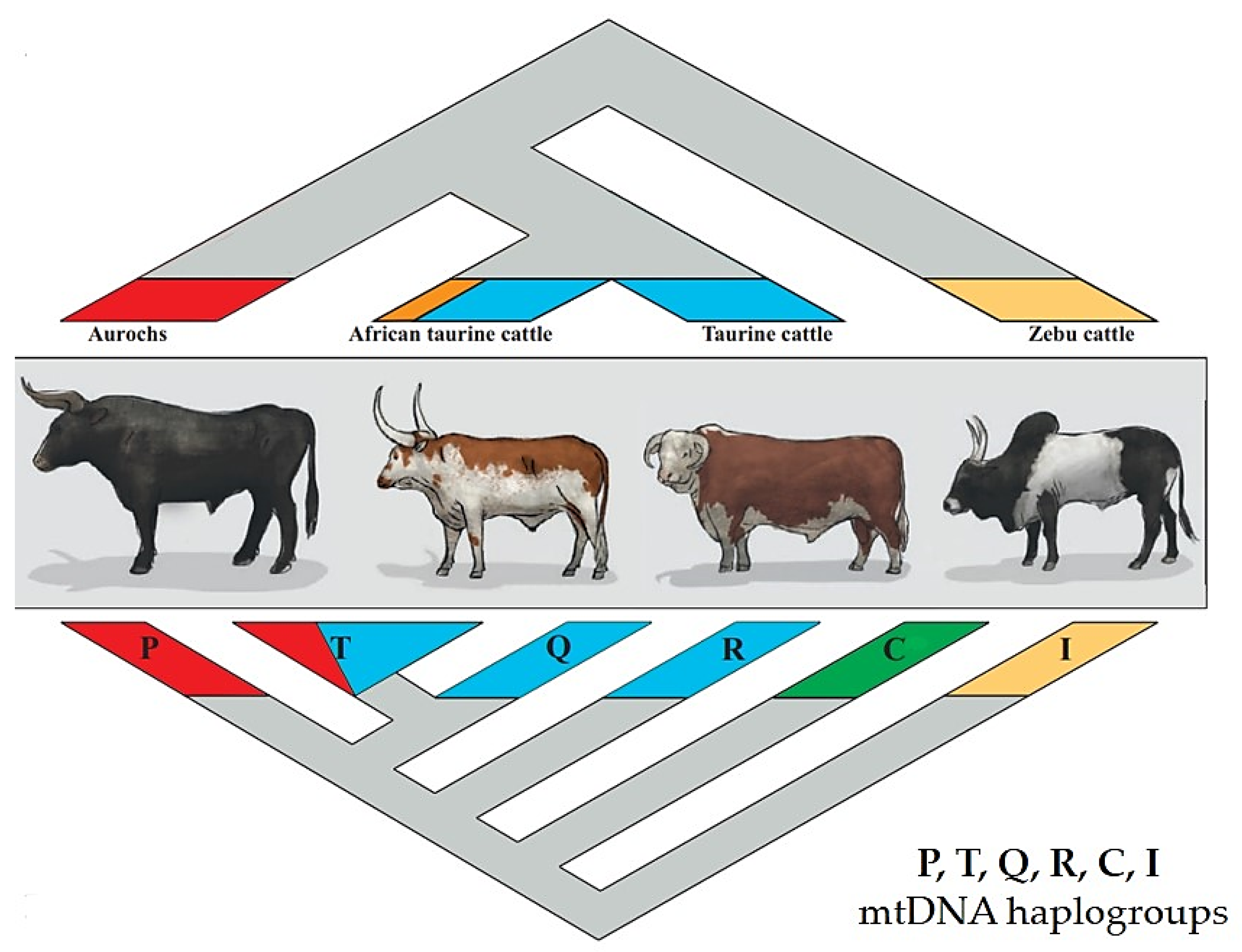 Agriculture 13 02255 g003