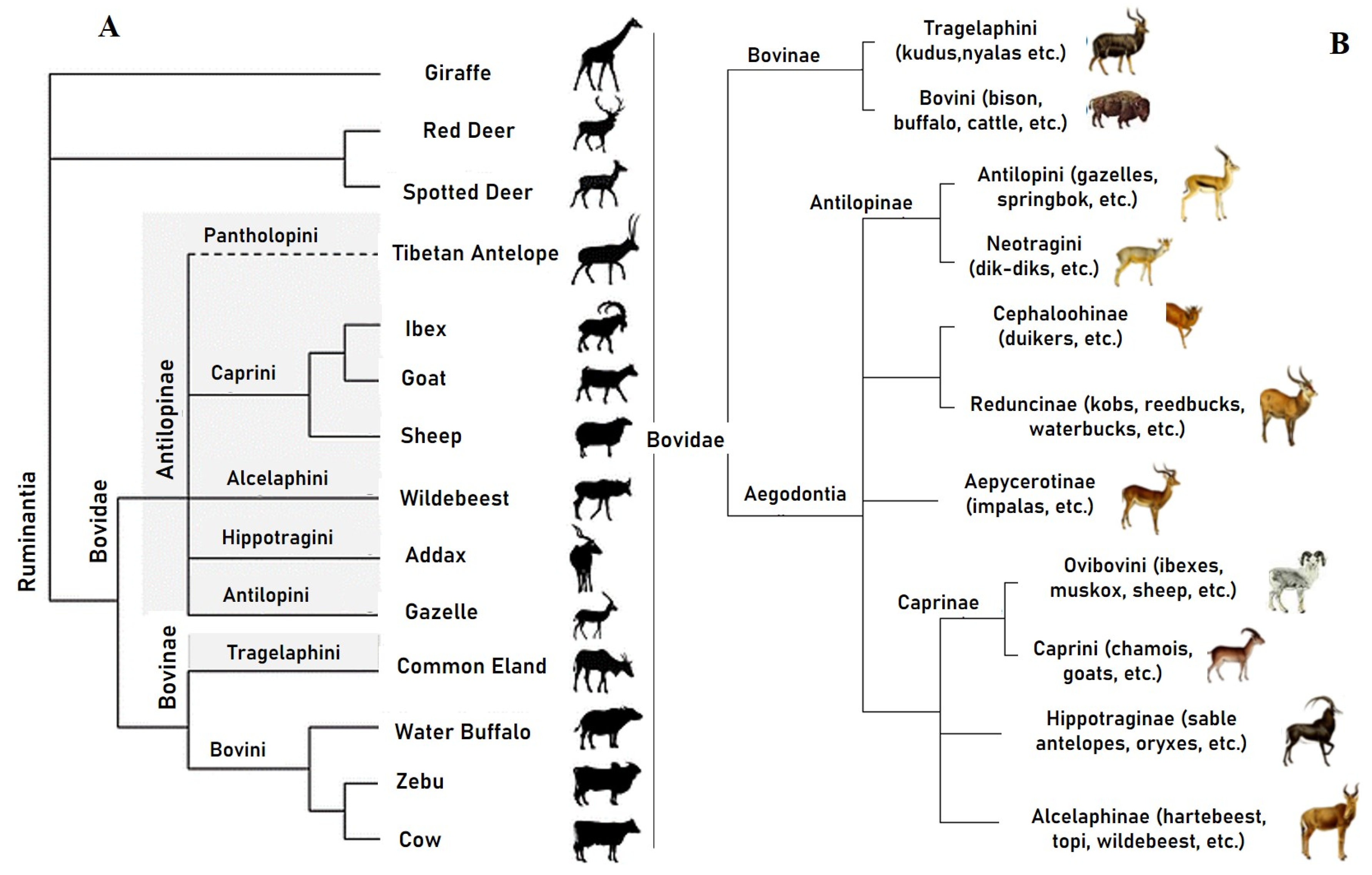 Agriculture 13 02255 g004