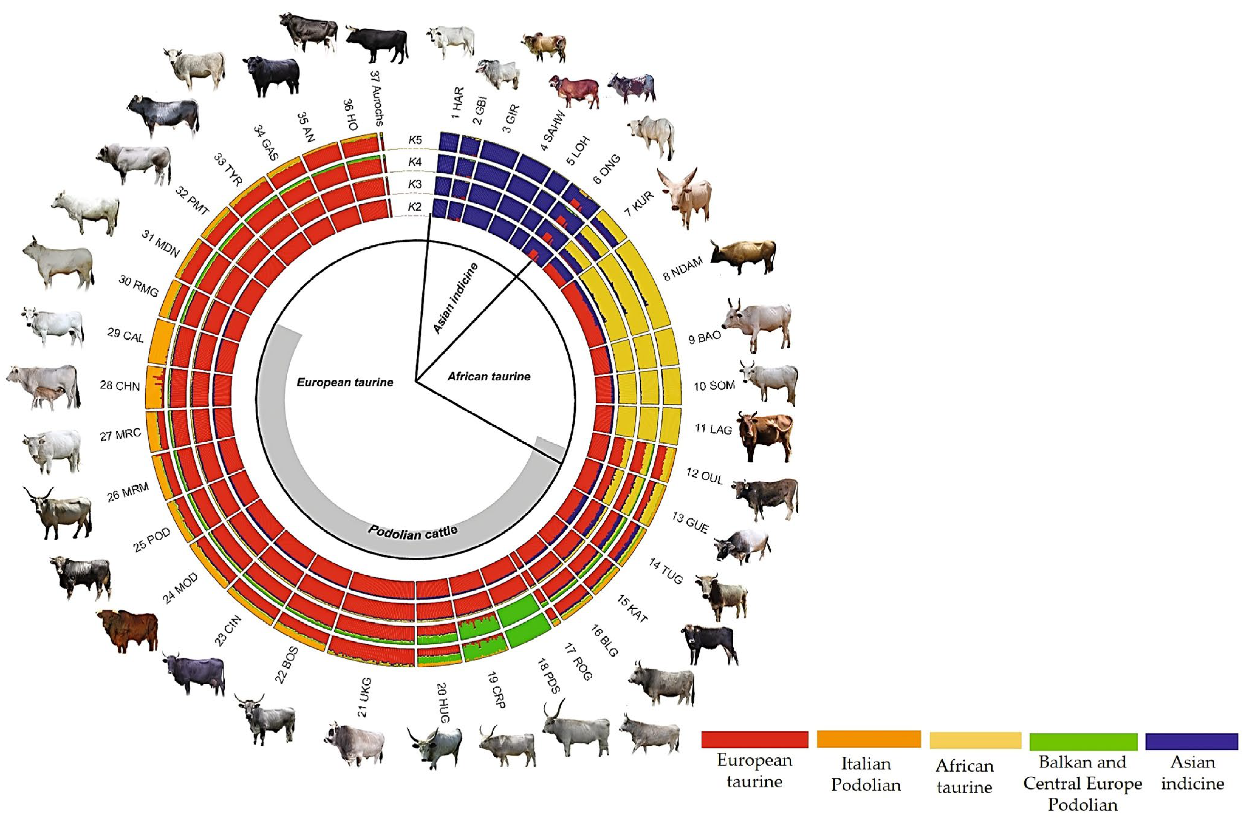 Agriculture 13 02255 g005