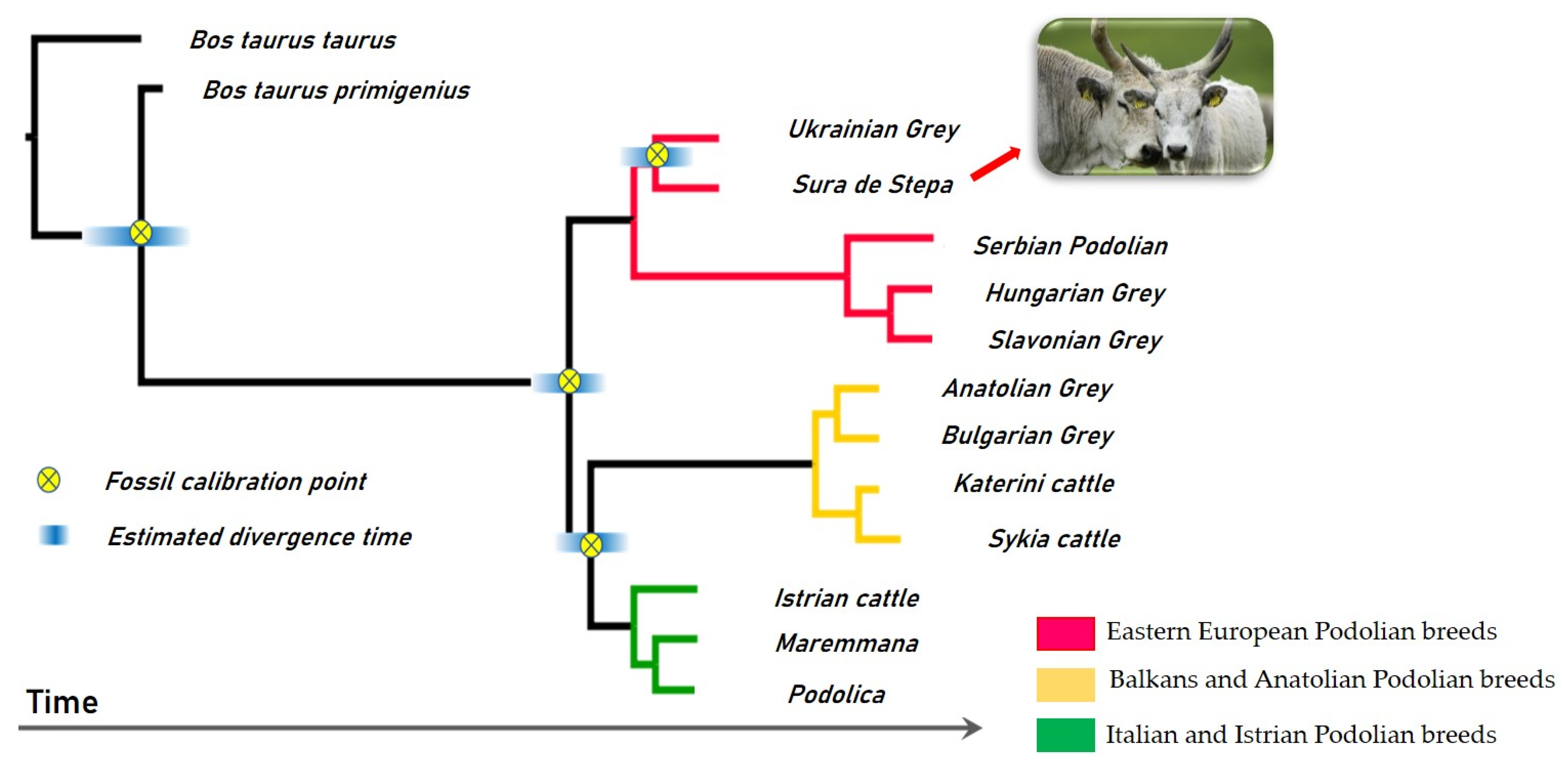 Agriculture 13 02255 g007