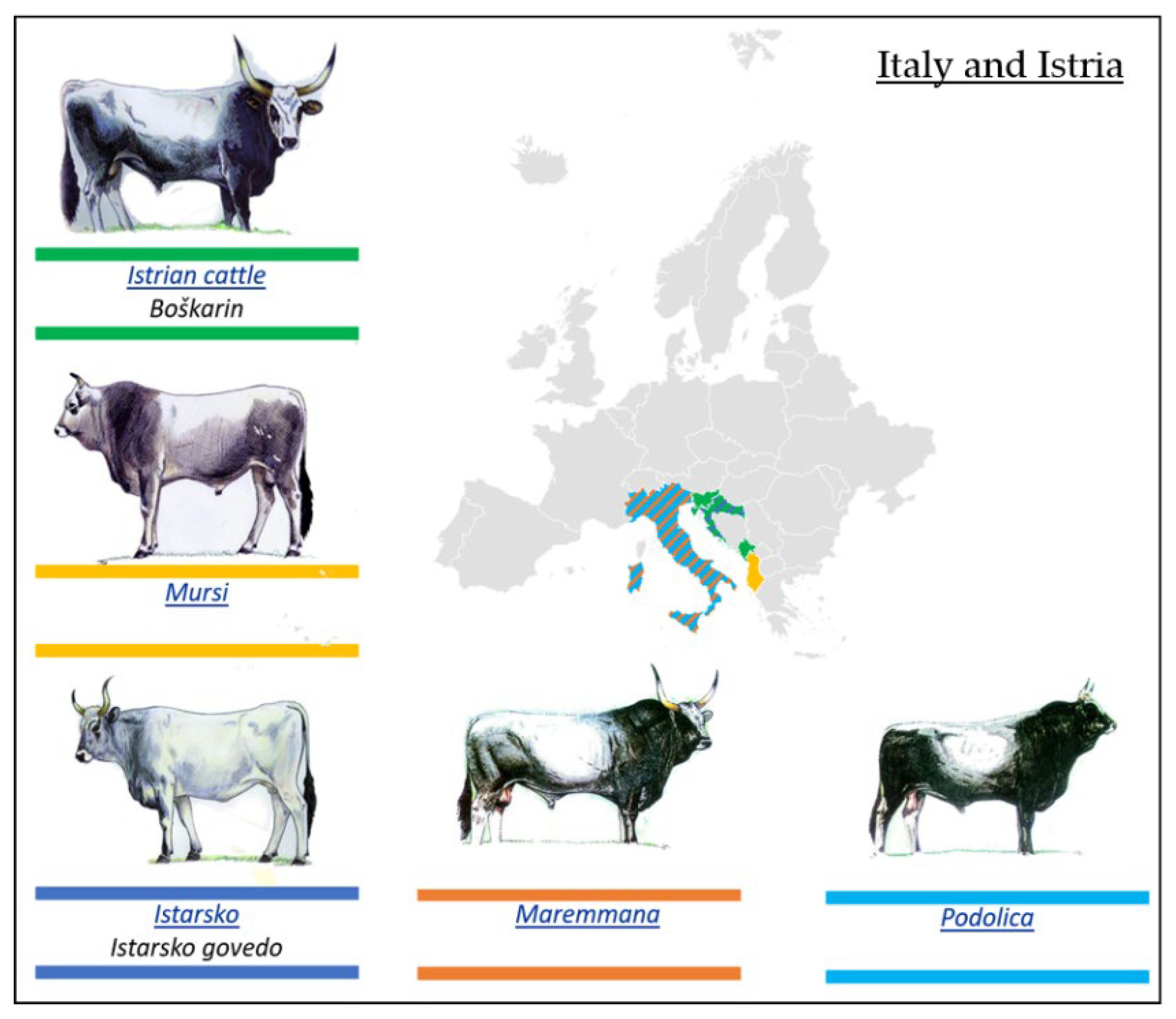 Agriculture 13 02255 g009