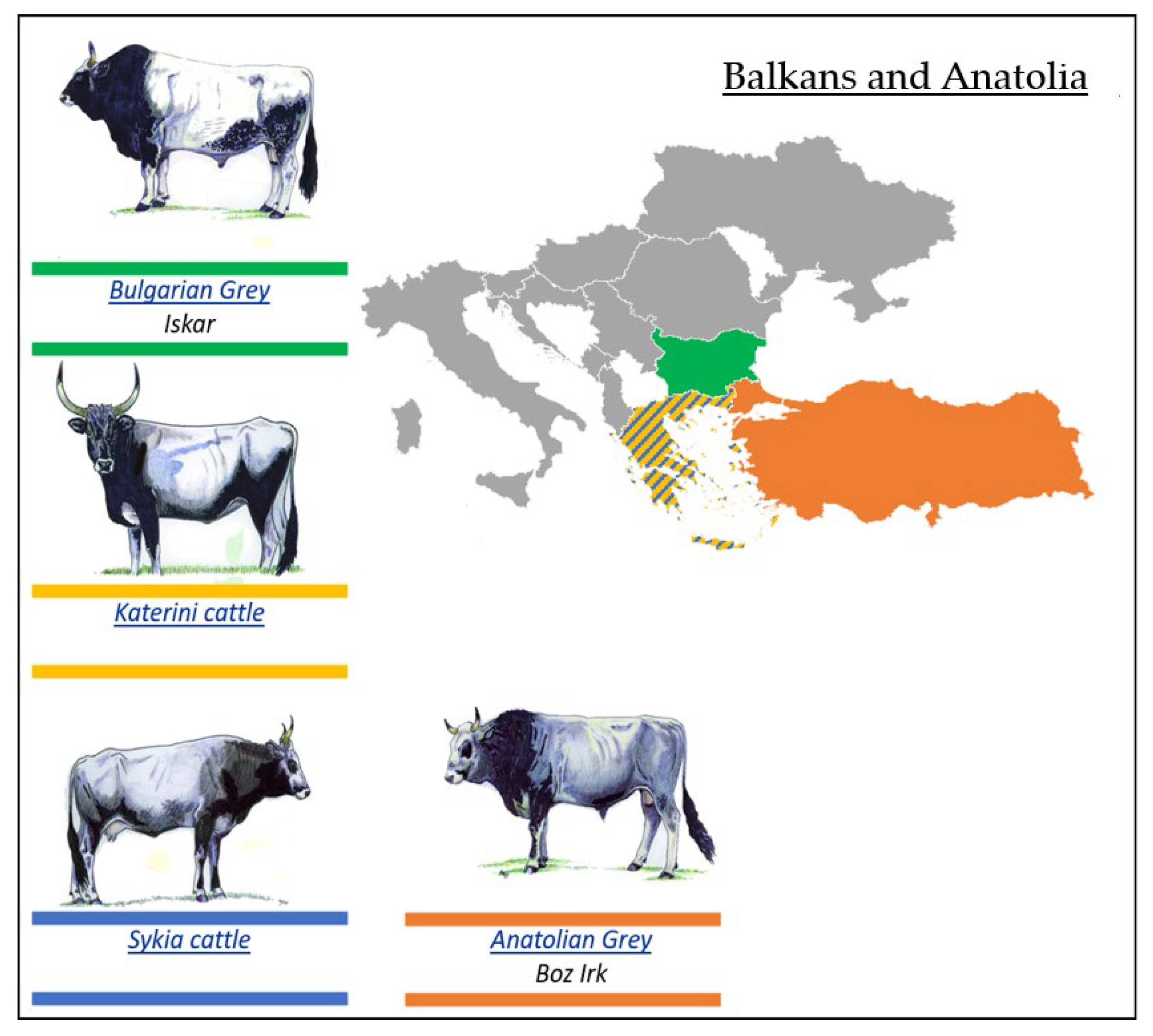 Agriculture 13 02255 g010
