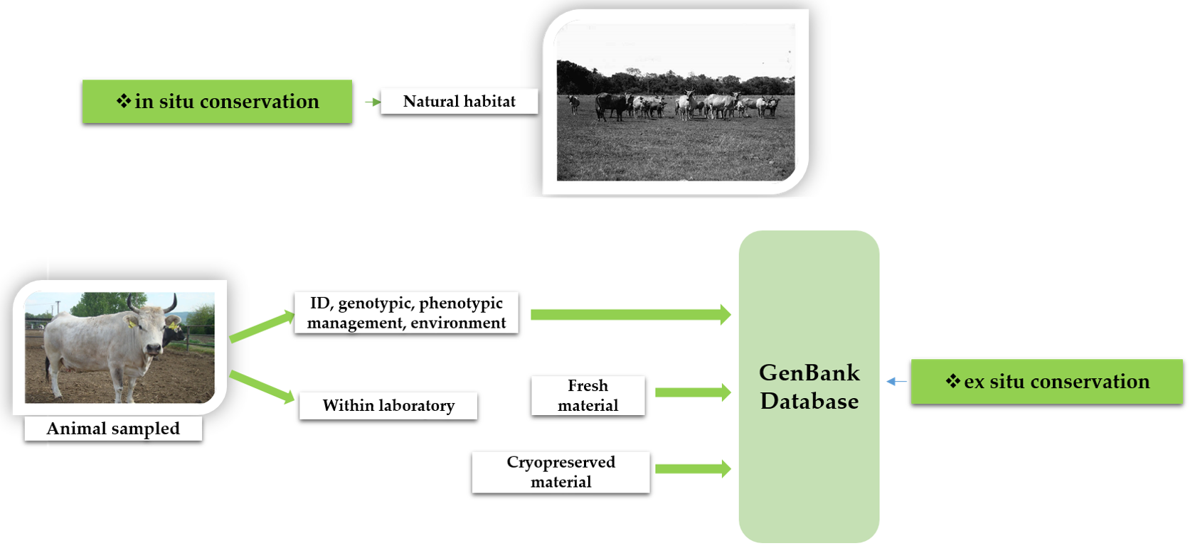 Agriculture 13 02255 g011