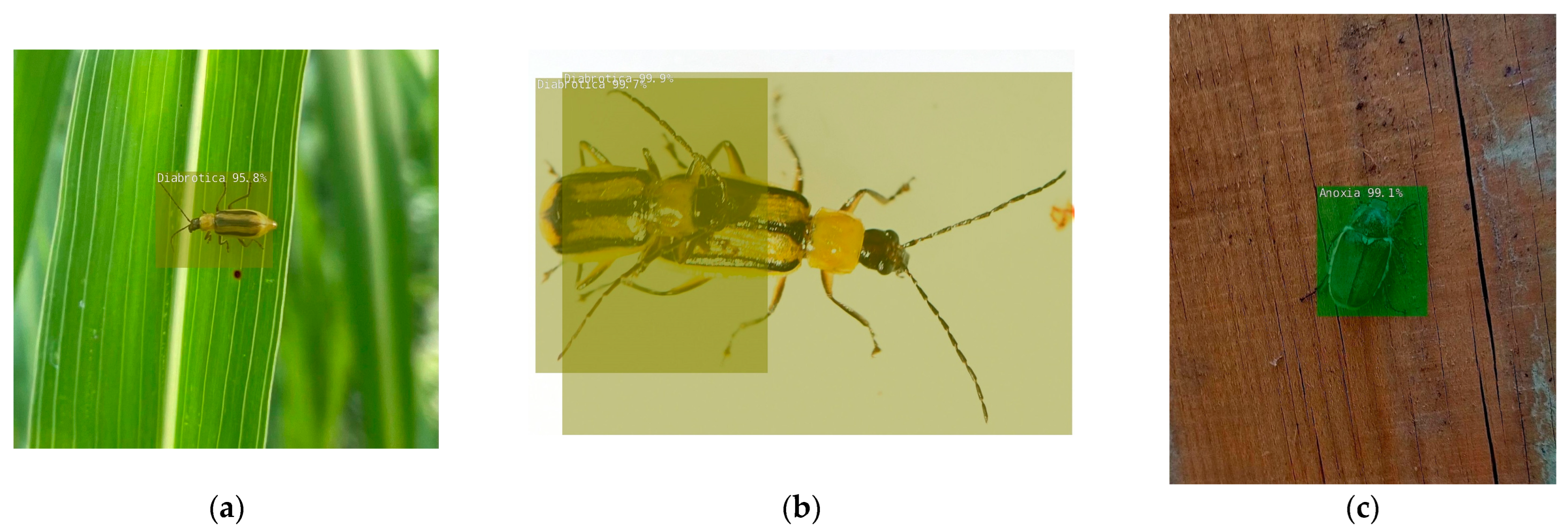 Agriculture 13 02287 g008a