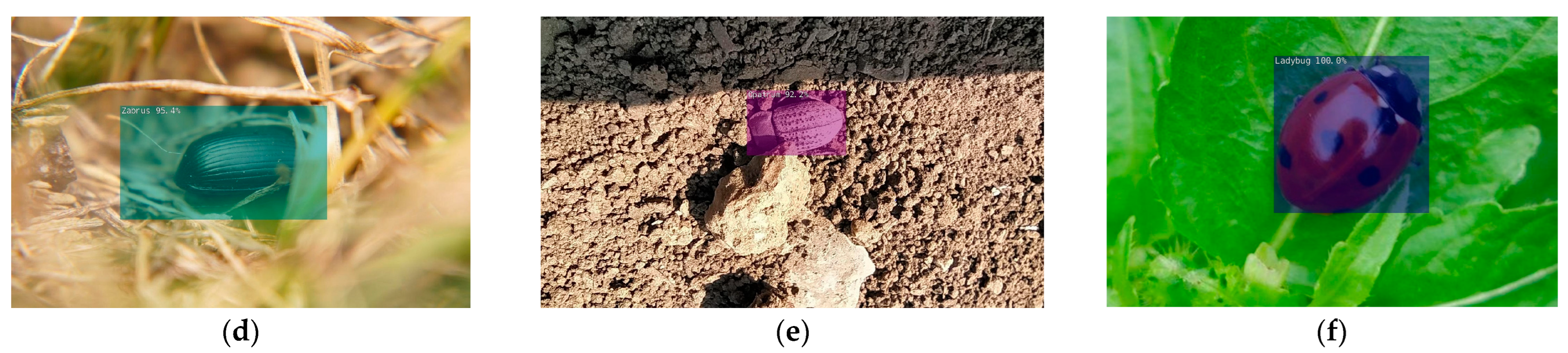 Agriculture 13 02287 g008b