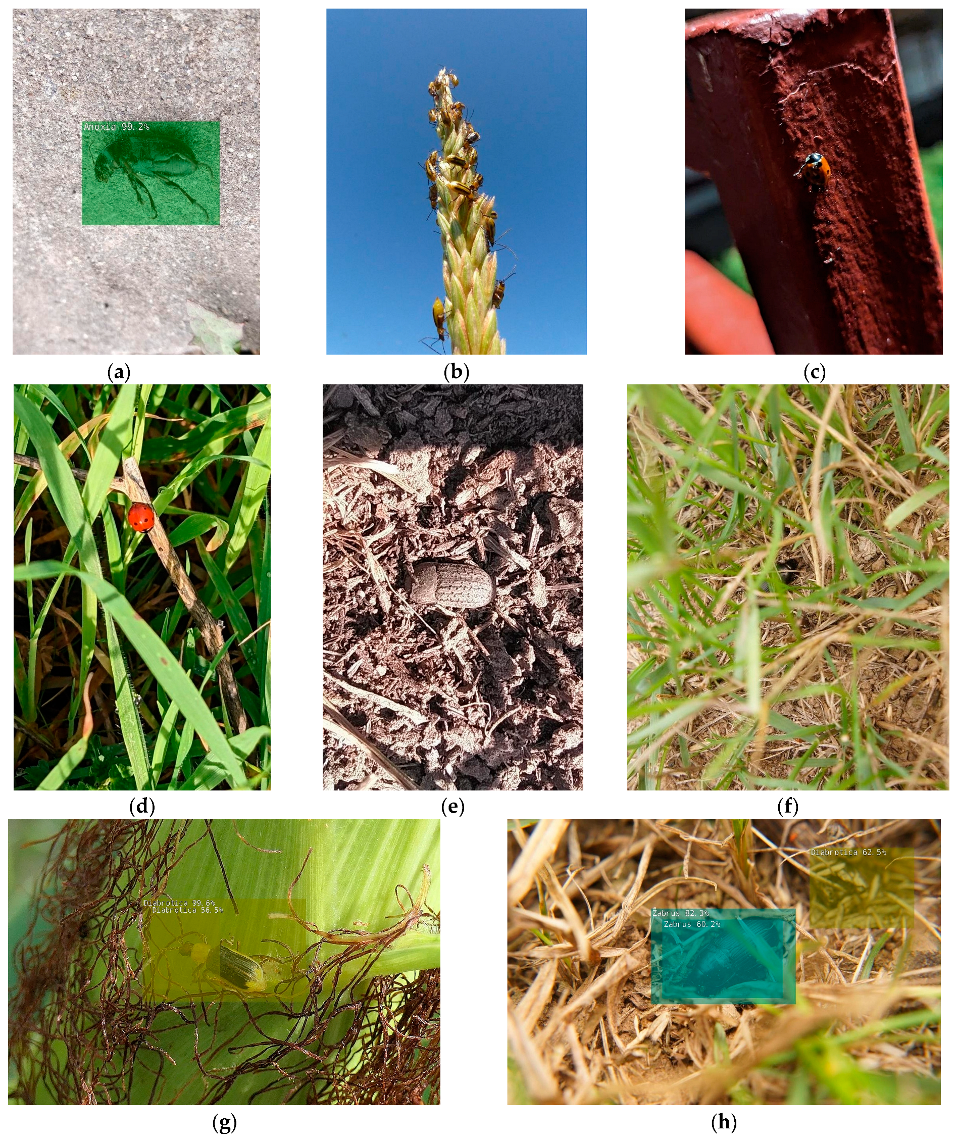 Agriculture 13 02287 g009