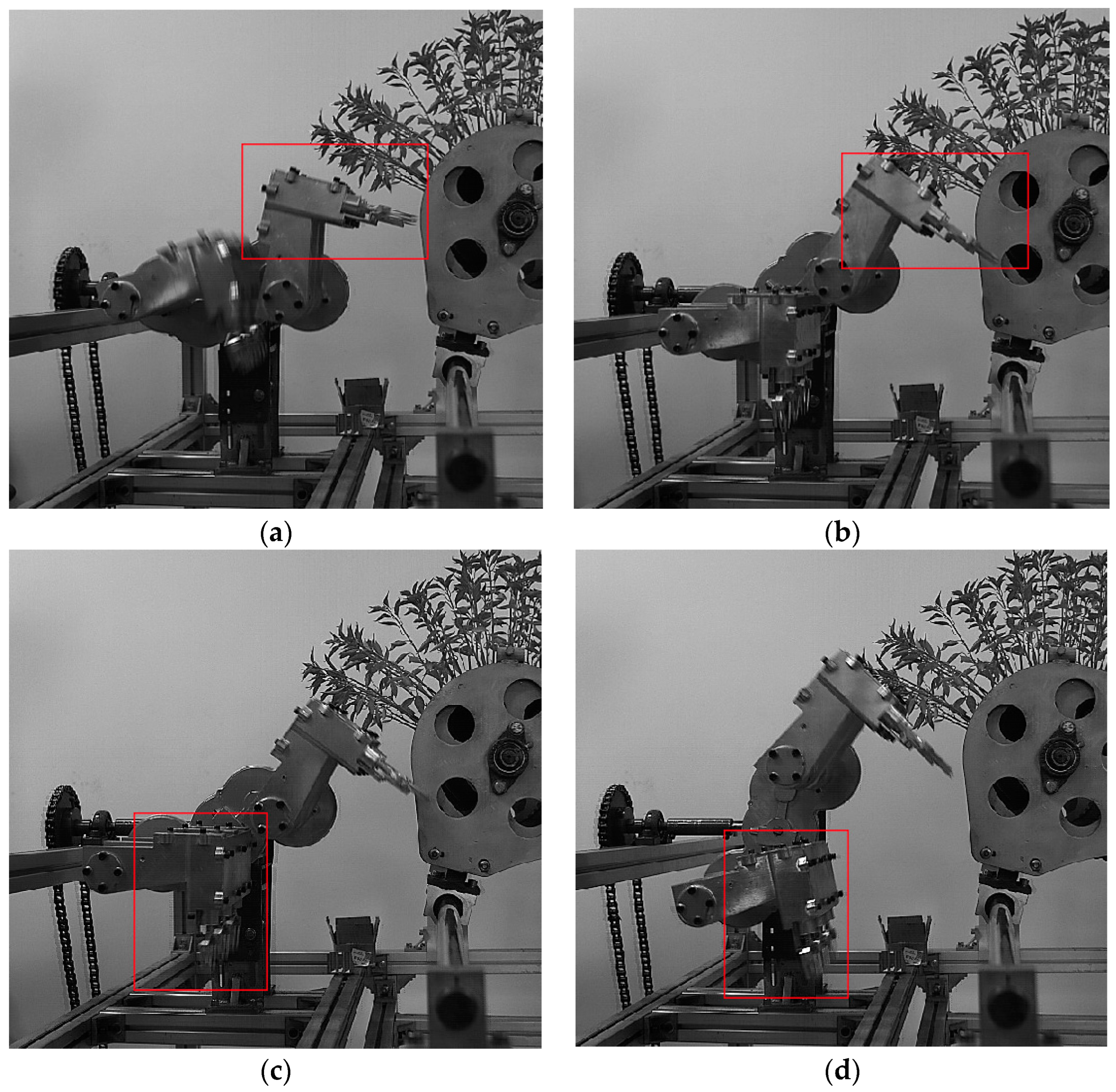 Agriculture 14 00011 g013