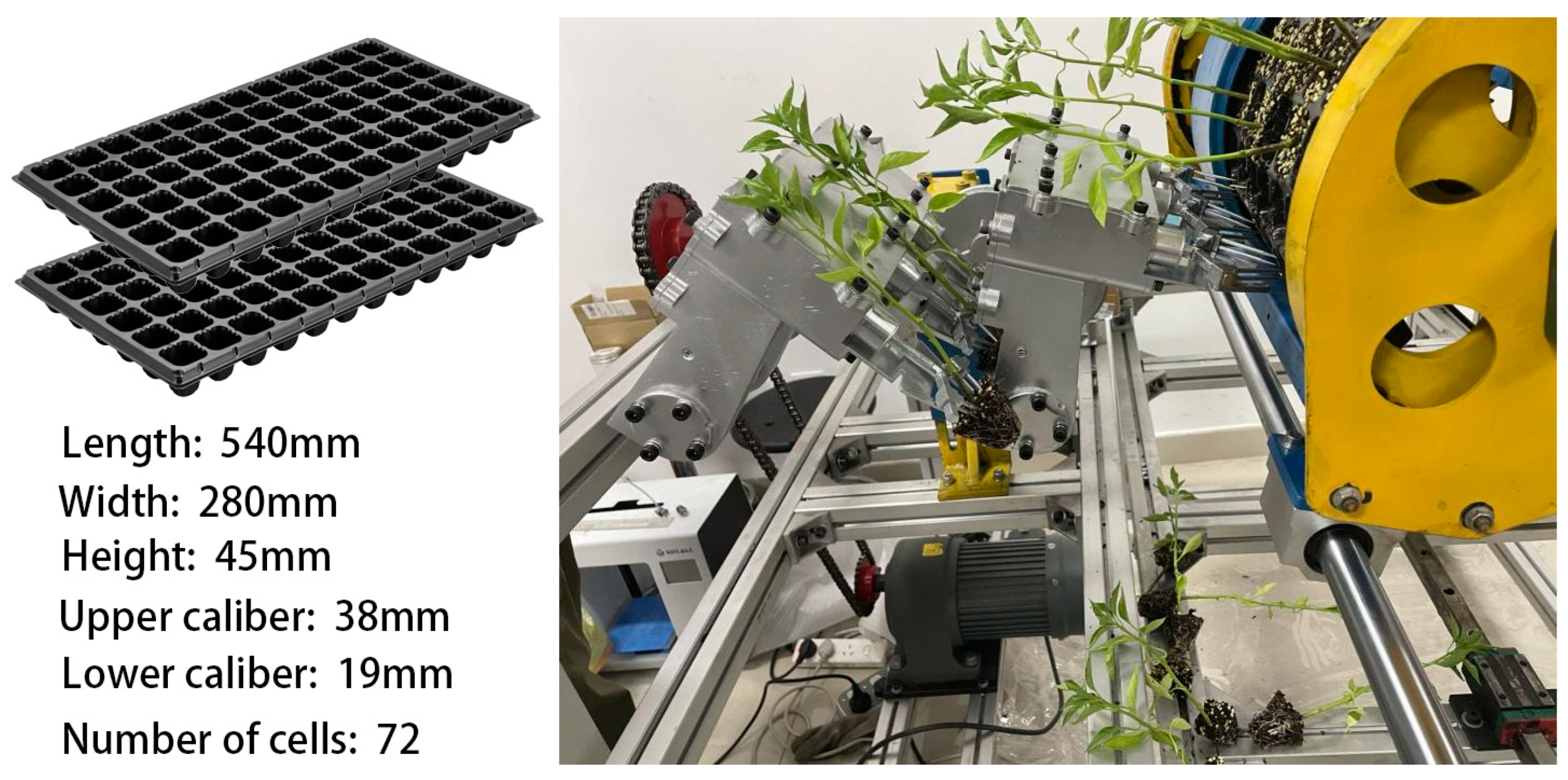 Agriculture 14 00011 g015