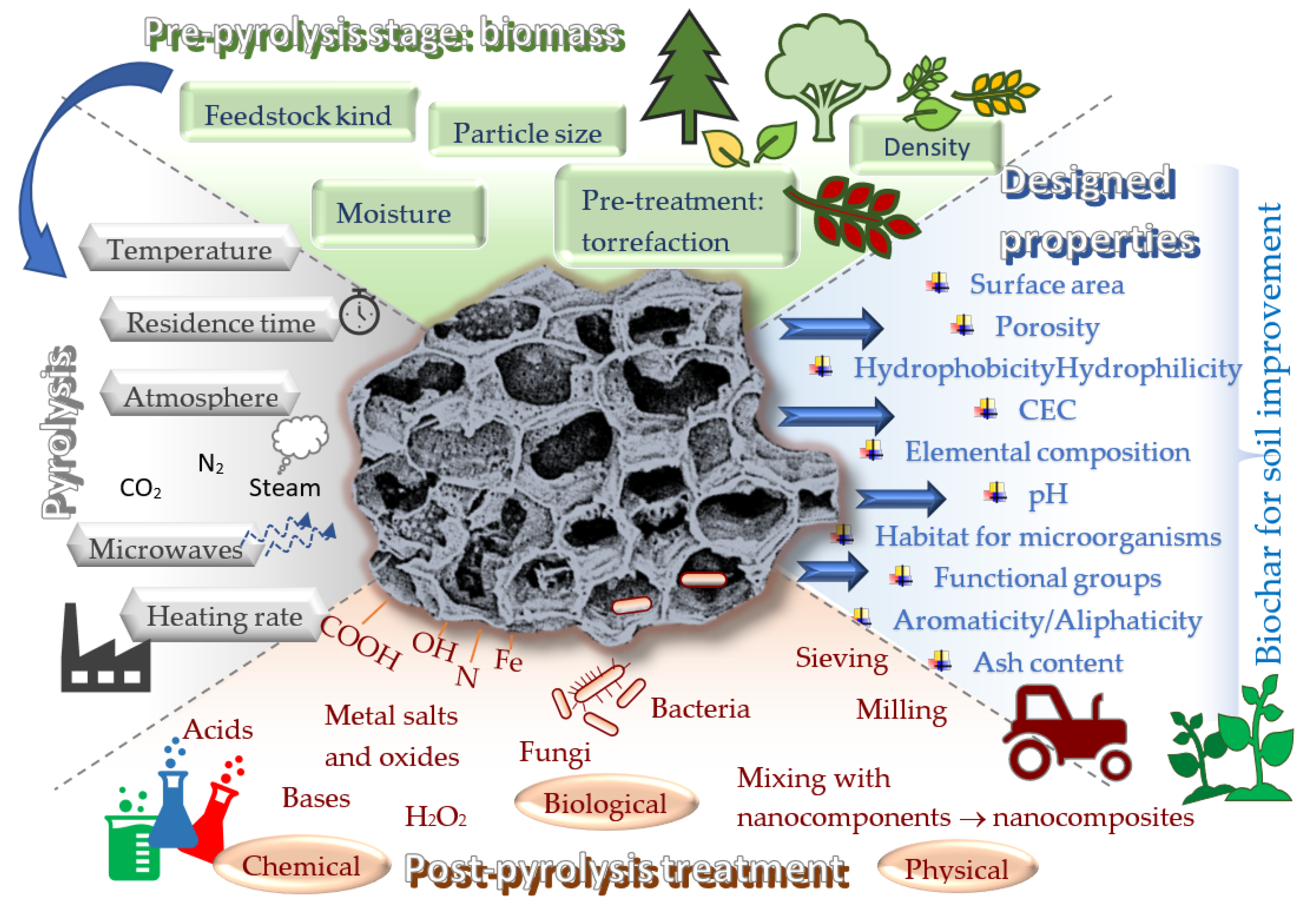 Agriculture 14 00037 g001