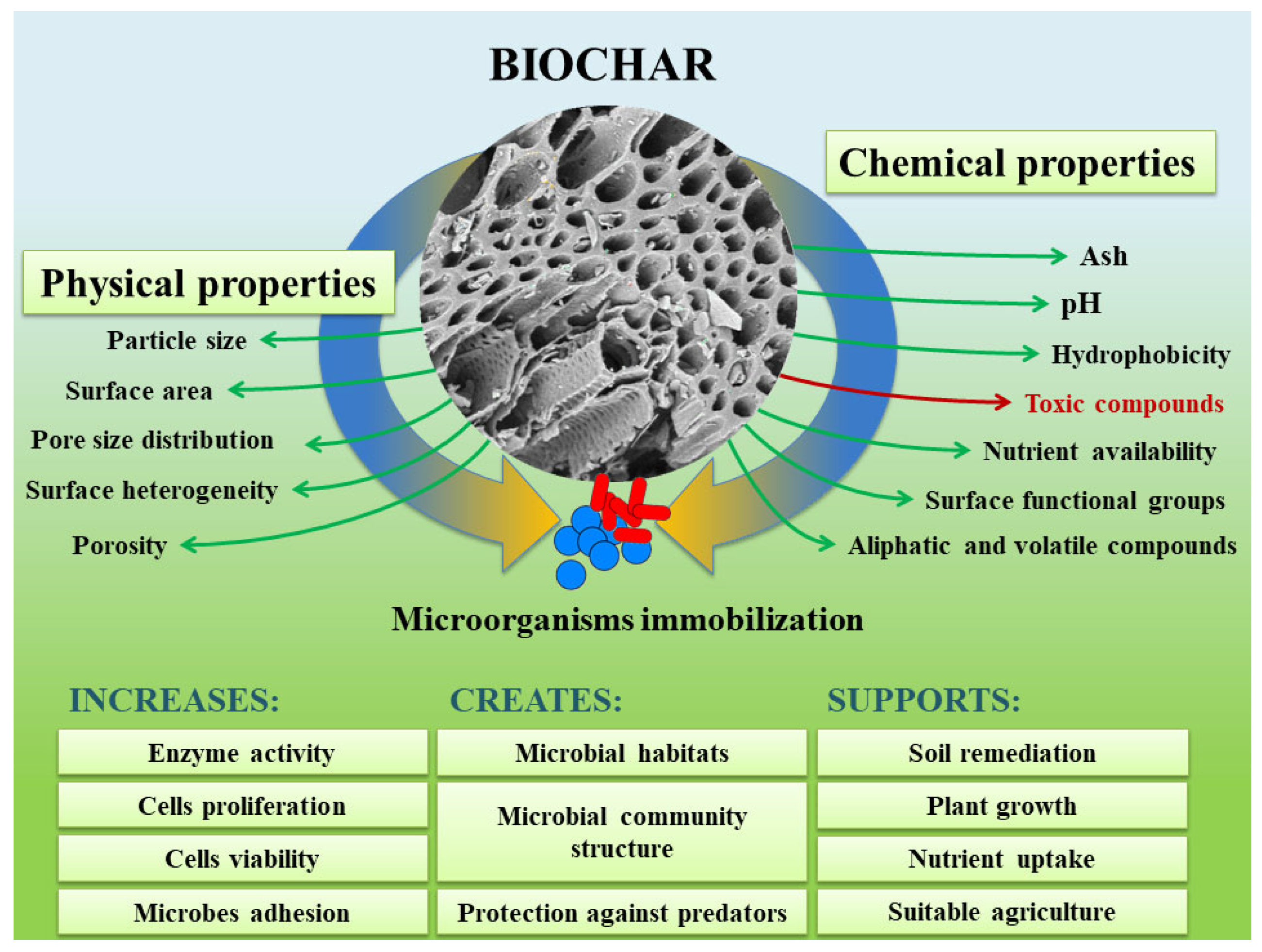 Agriculture 14 00037 g003