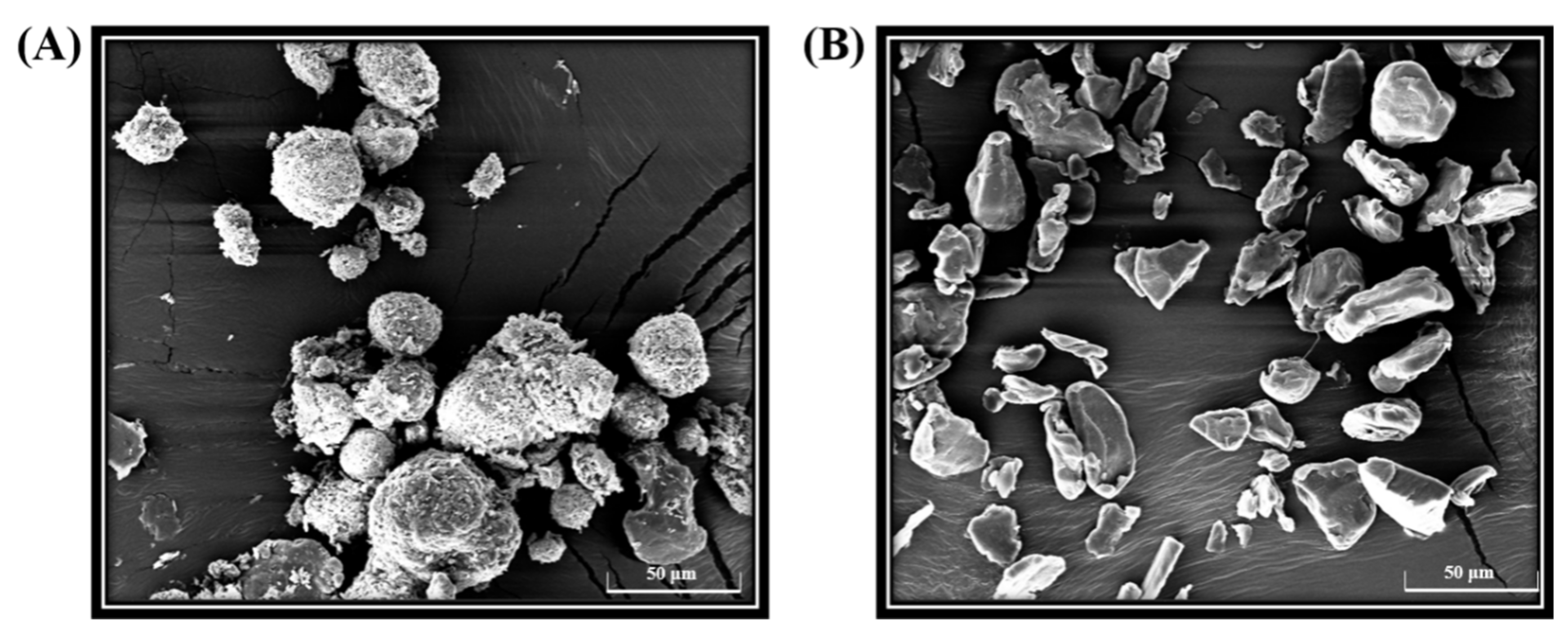 Agriculture 14 00053 g001