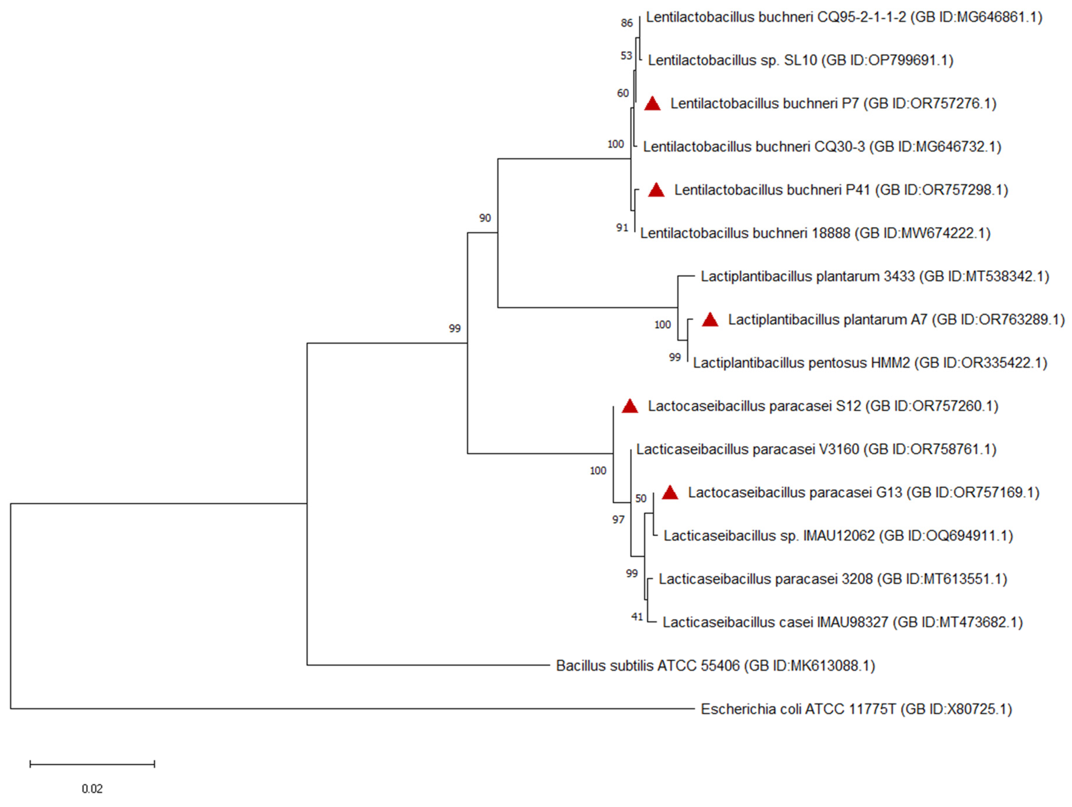 Agriculture 14 00061 g001