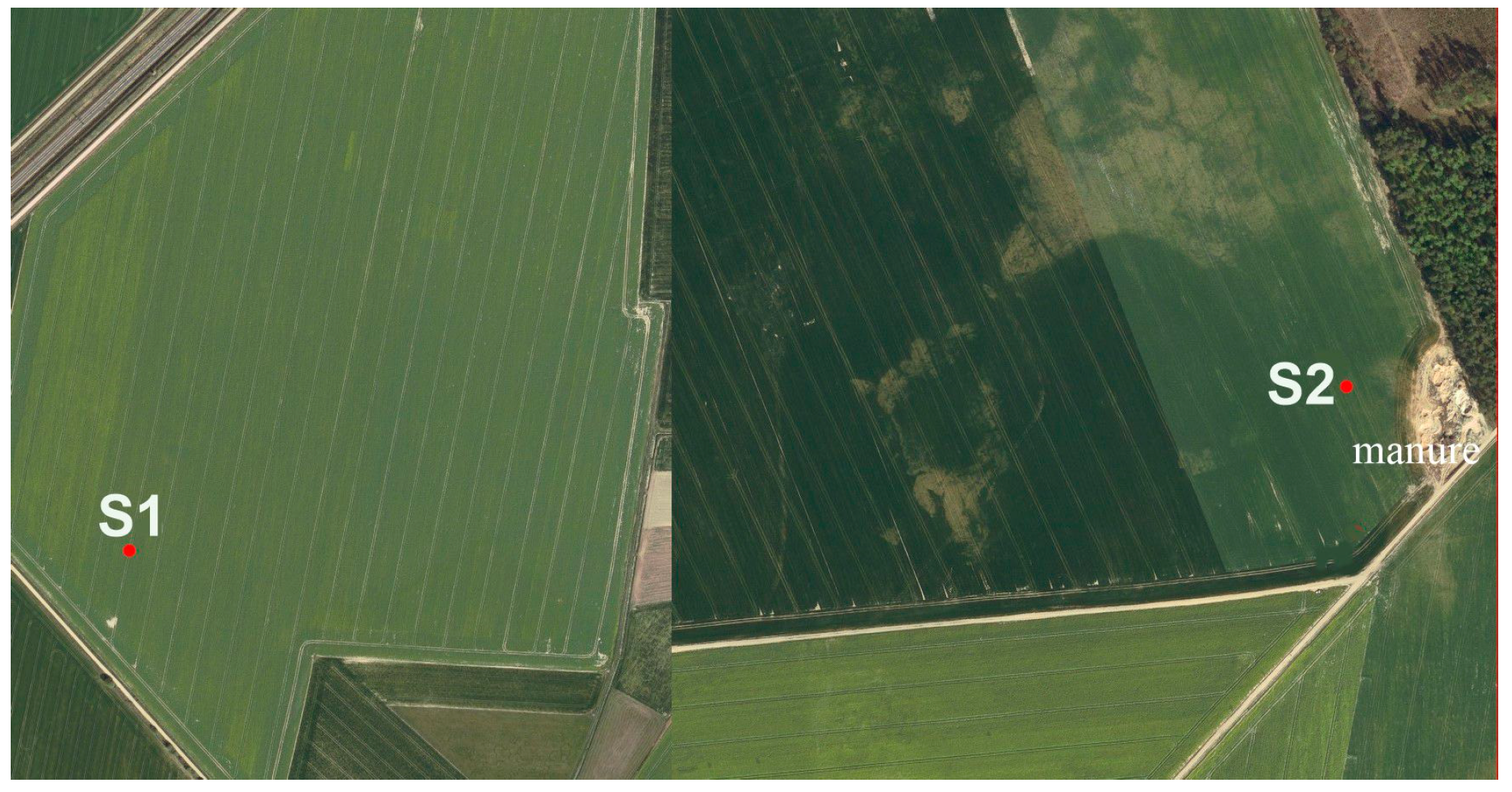 Agriculture 14 00087 sch001 Agriculture 14 00087 sch001