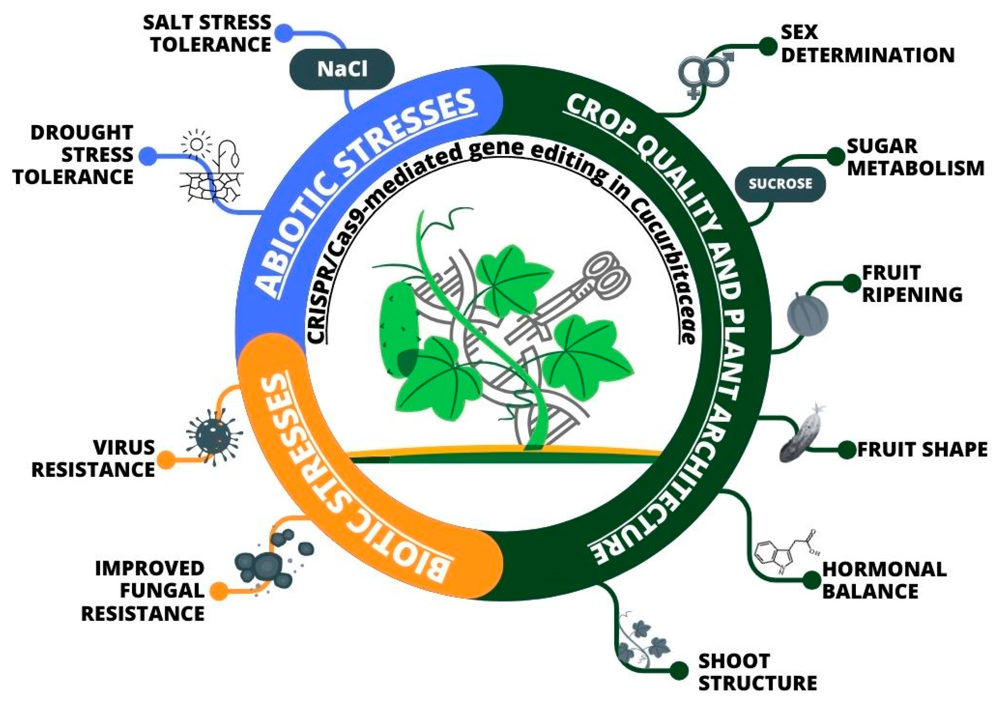 Agriculture 14 00090 g005