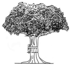 Agriculture 14 00107 i002