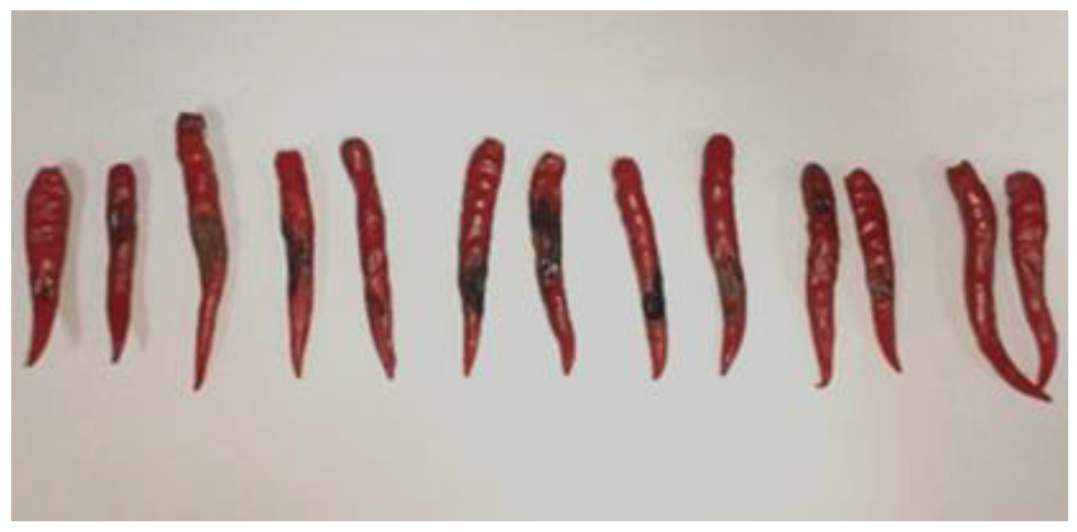 Agriculture 14 00117 g001