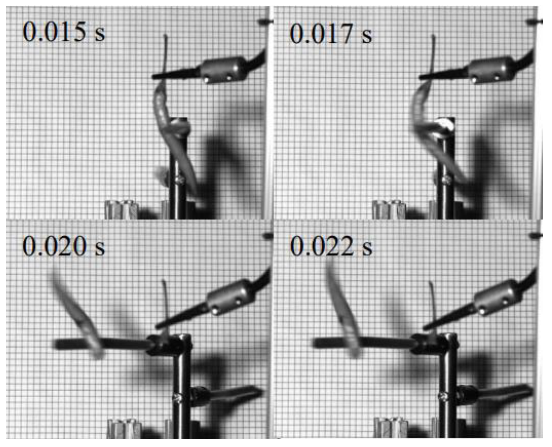 Agriculture 14 00117 g008